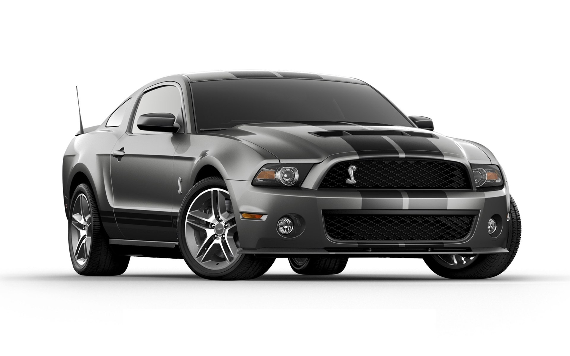 Ford,Shelby,GT500,福特,眼镜蛇,宽屏,汽车,2012Y十月28D,儿童桌面专用