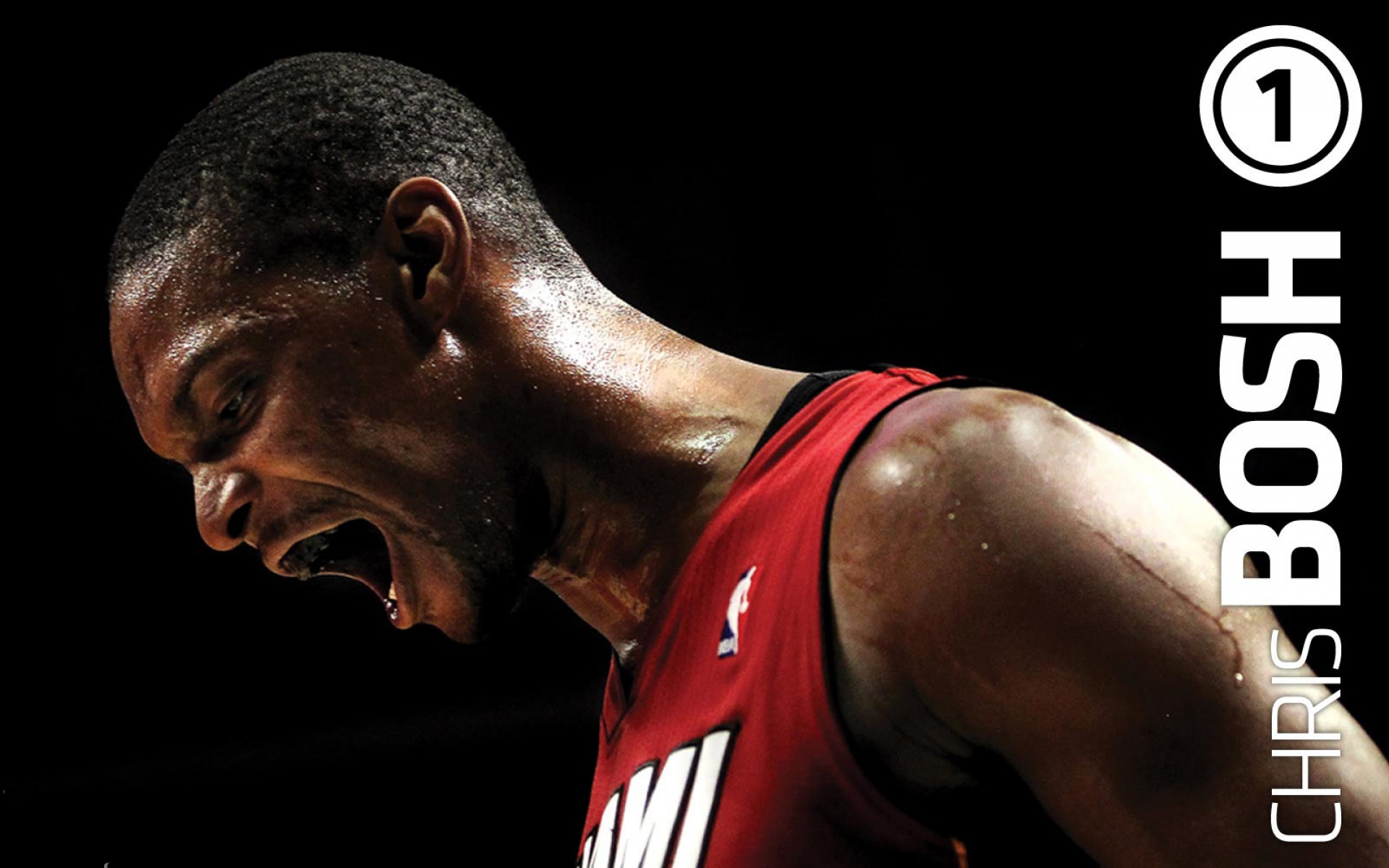 迈阿密,热火队,NBA,波什,体育,篮球,2012Y十月26D