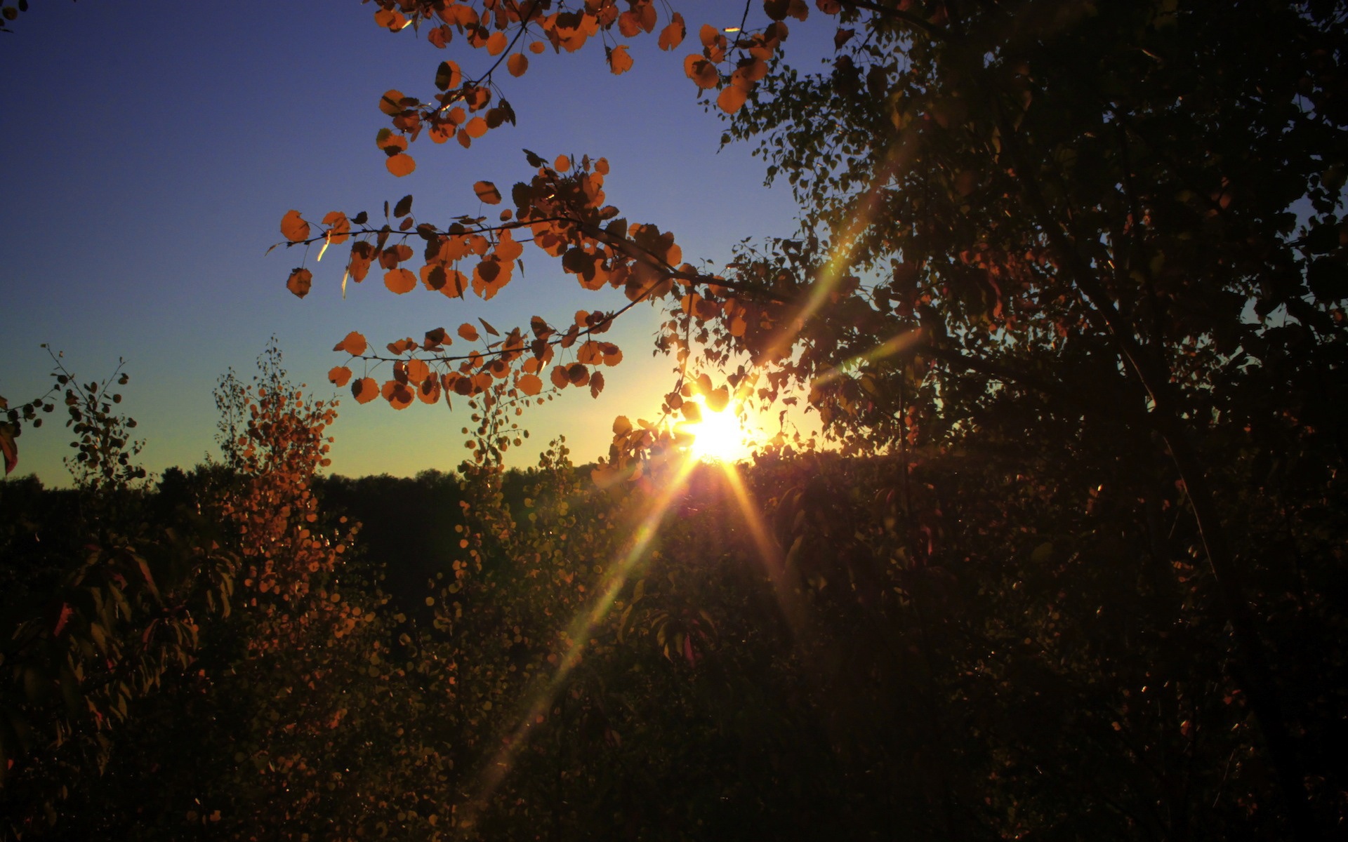 风景,落日余晖,2012Y十月25D,儿童桌面专用