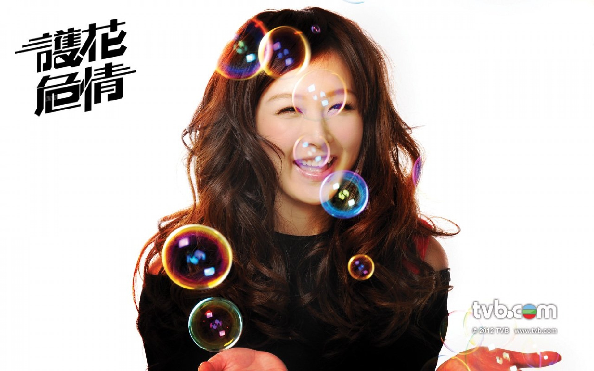 护花危情,影视,电视剧,TVB,2012Y十月26D,热门剧集