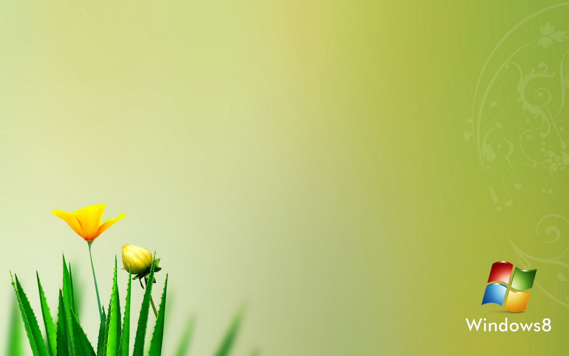 Windows,8,设计,简约,系统,绿色,儿童桌面专用