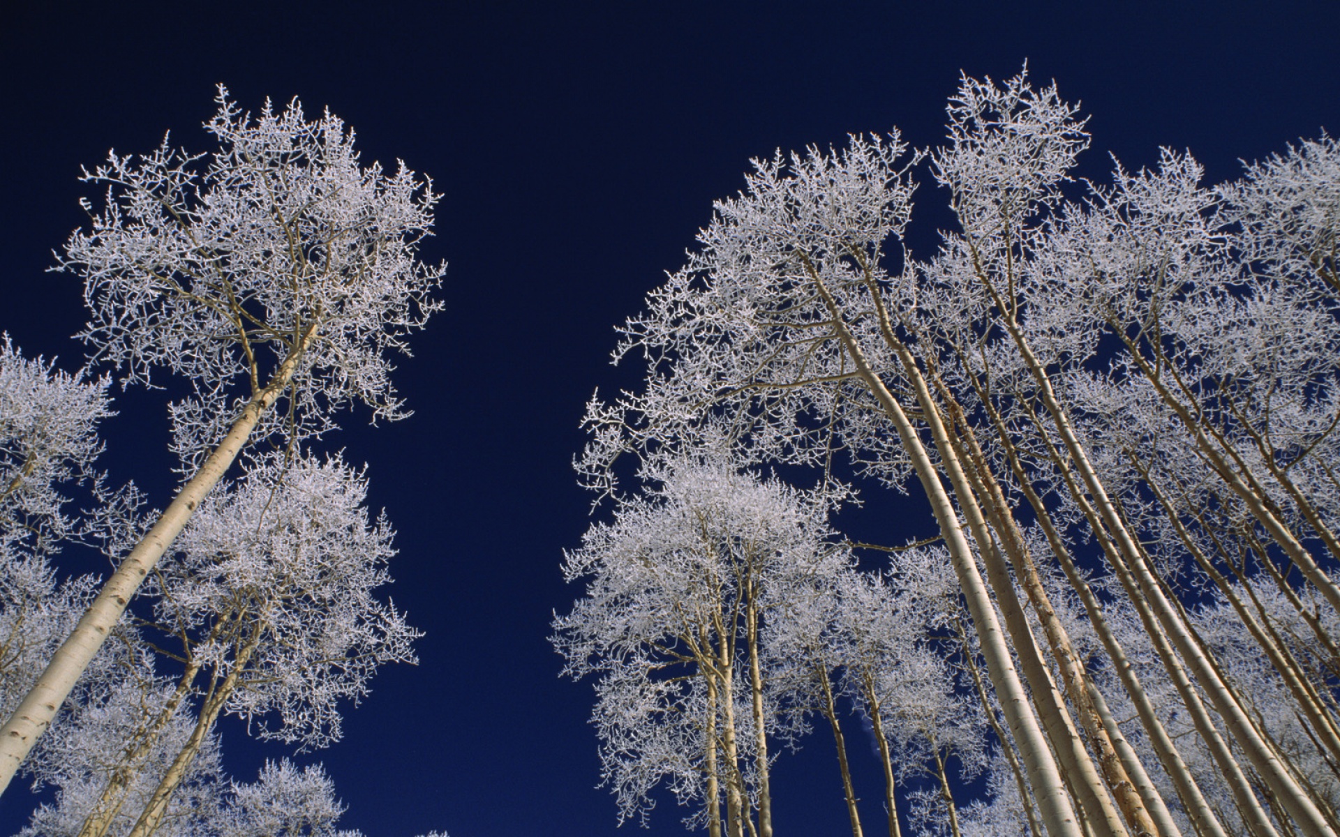 风景,冰天雪地,2012Y十一月04D,儿童桌面专用