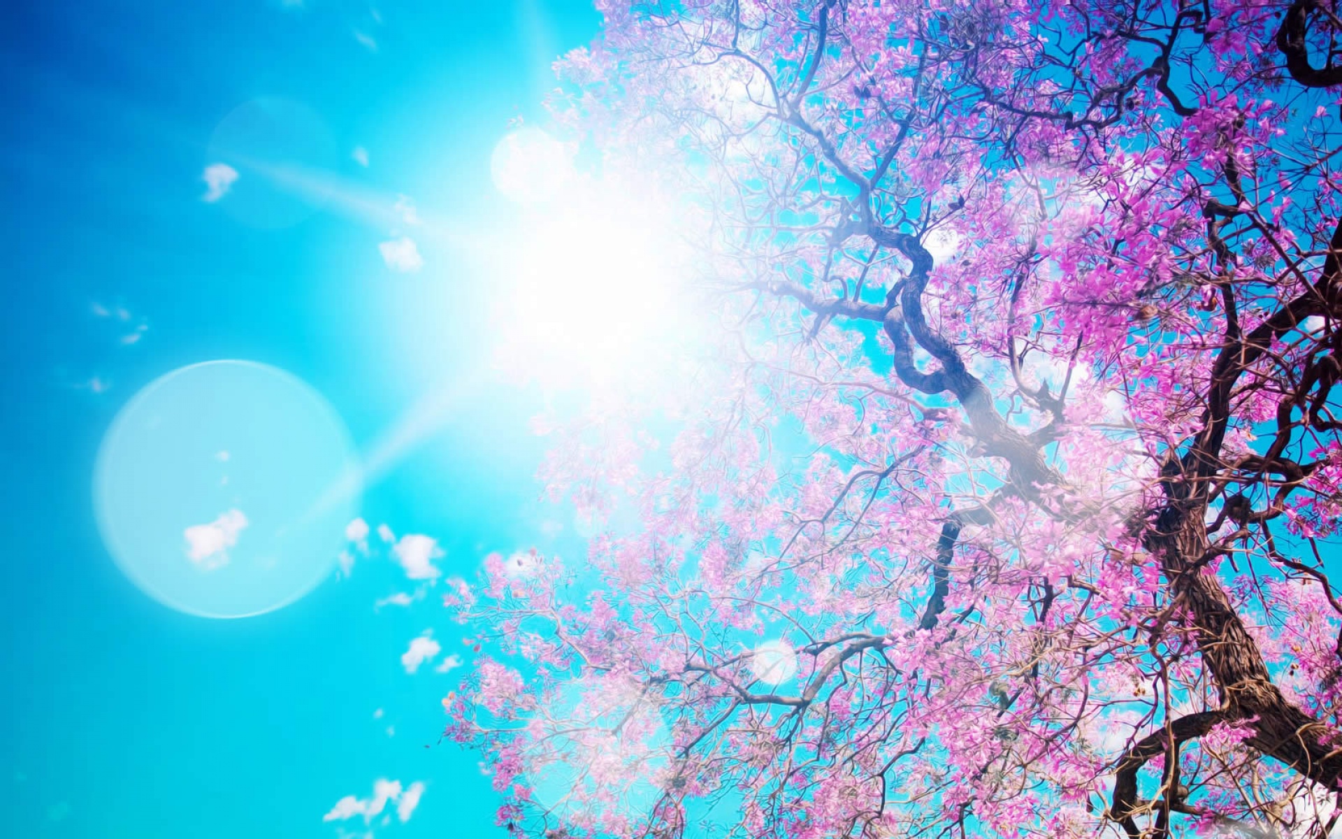 精美,宽屏,普屏,2012Y十月29D,儿童桌面专用