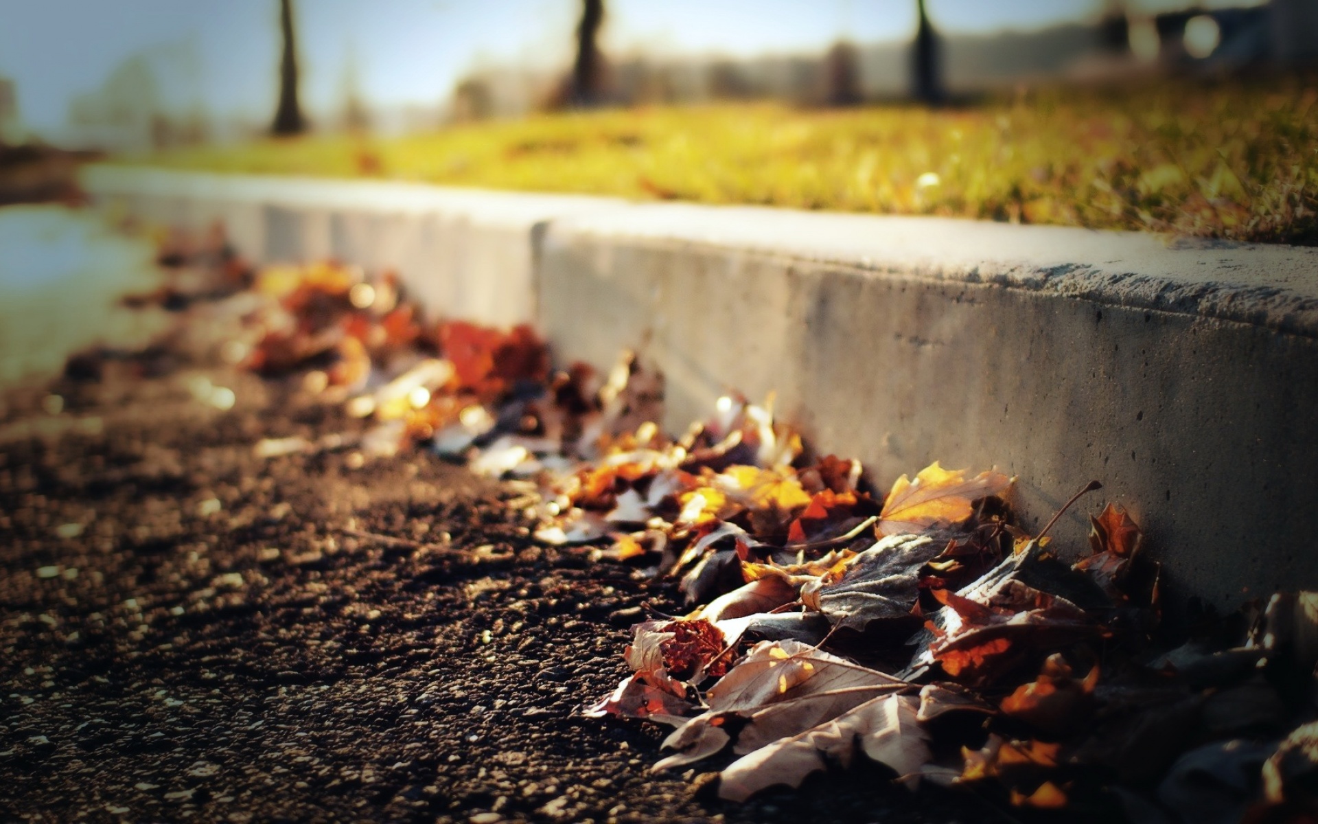 风景,秋意正浓,2012Y十月29D,儿童桌面专用