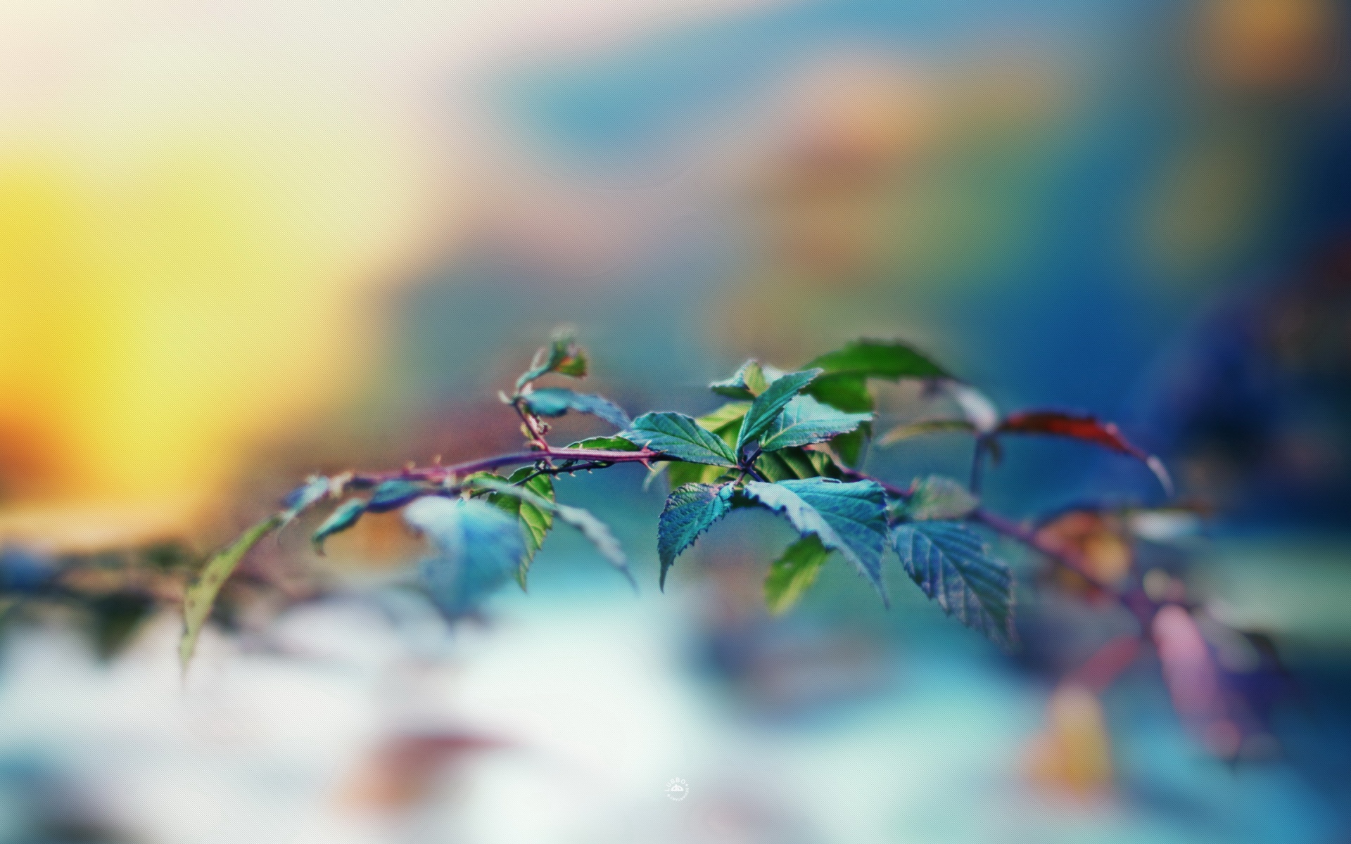 小清新,舒缓压力,2012Y十月26D,儿童桌面专用