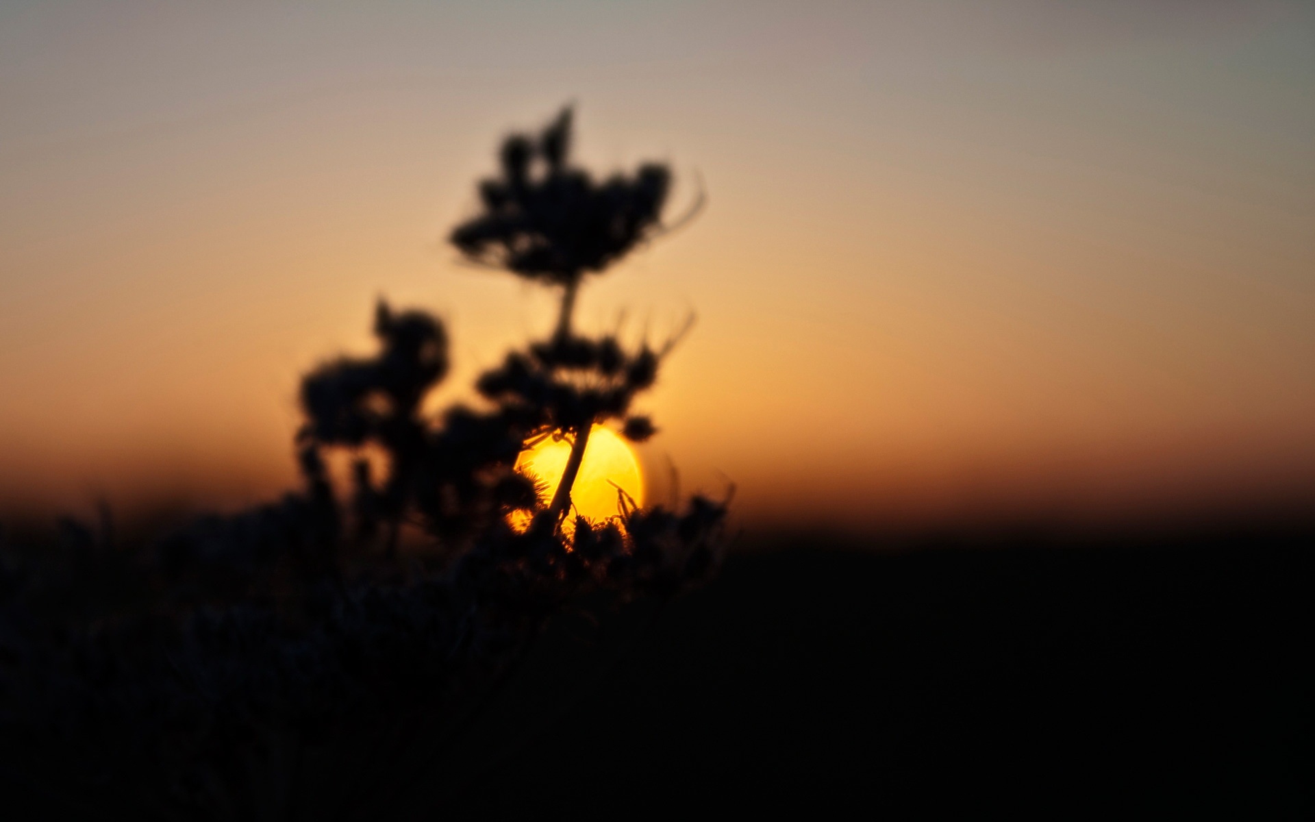 风景,落日余晖,2012Y十一月04D,儿童桌面专用