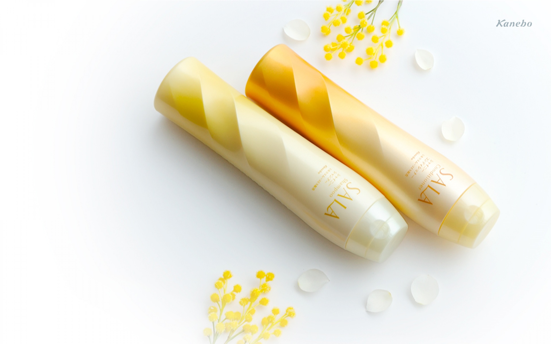 日本,SALA,护发,产品,广告,2012Y十月29D,创意,设计,儿童桌面专用