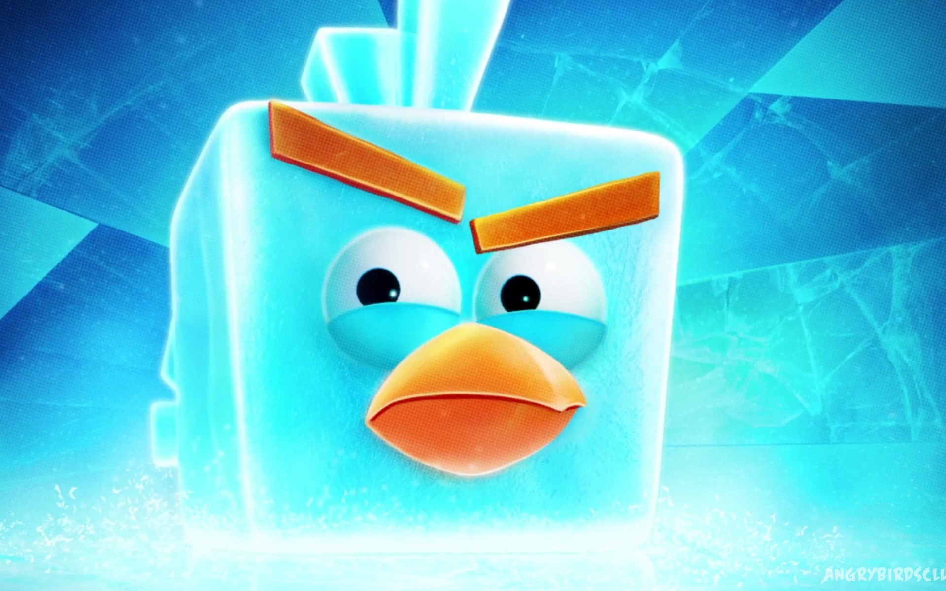 愤怒的小鸟,Angry,Birds,可爱,卡通,游戏,宽屏,2012Y十月25D,儿童桌面专用