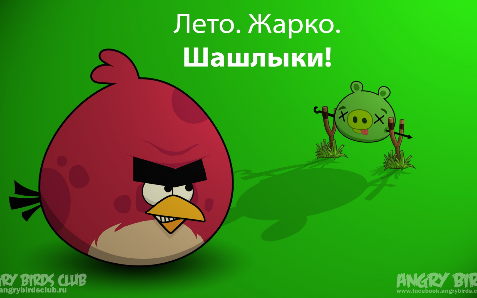 愤怒的小鸟,Angry,Birds,可爱,卡通,游戏,宽屏,2012Y十月26D,儿童桌面专用