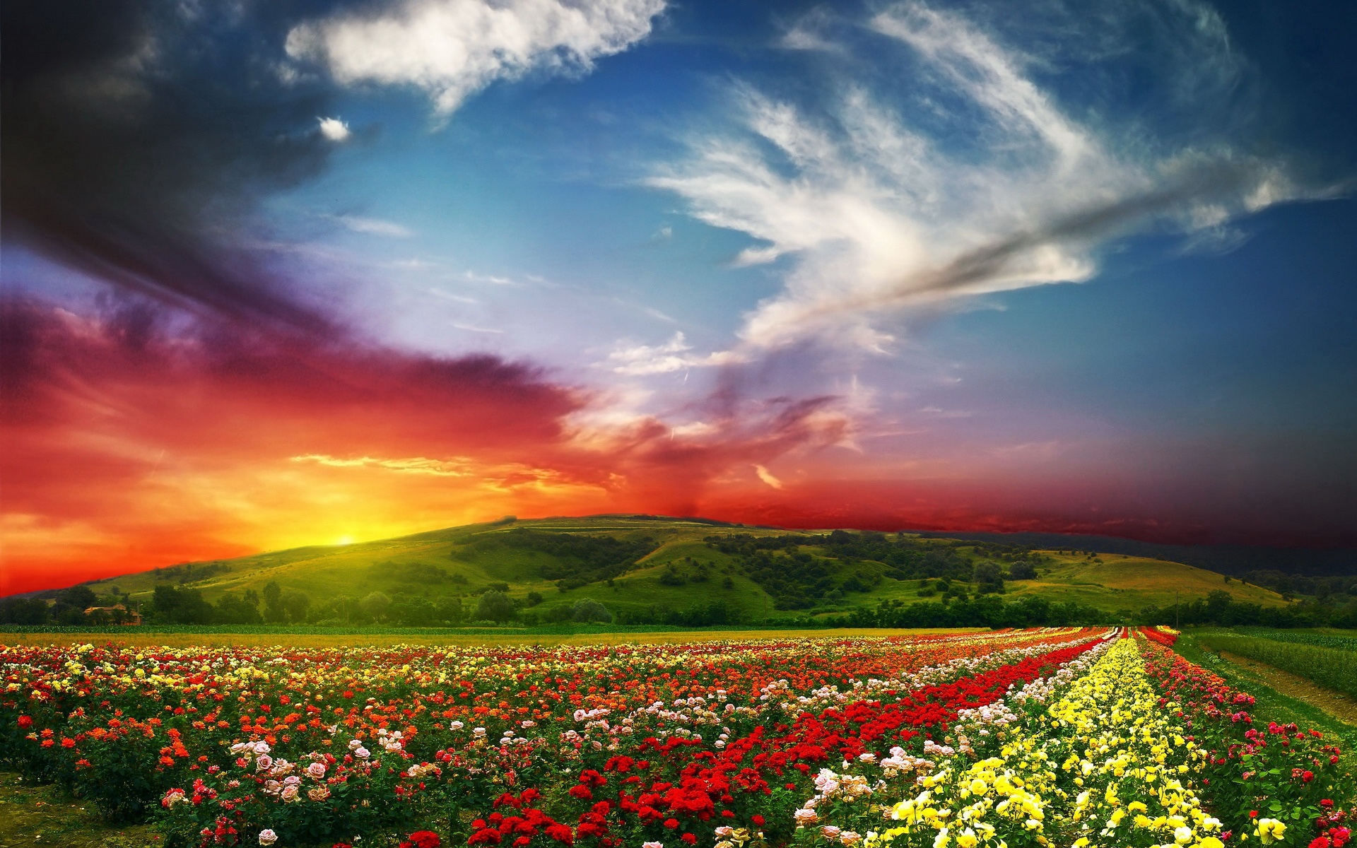 风景,落日余晖,2012Y十月26D,儿童桌面专用