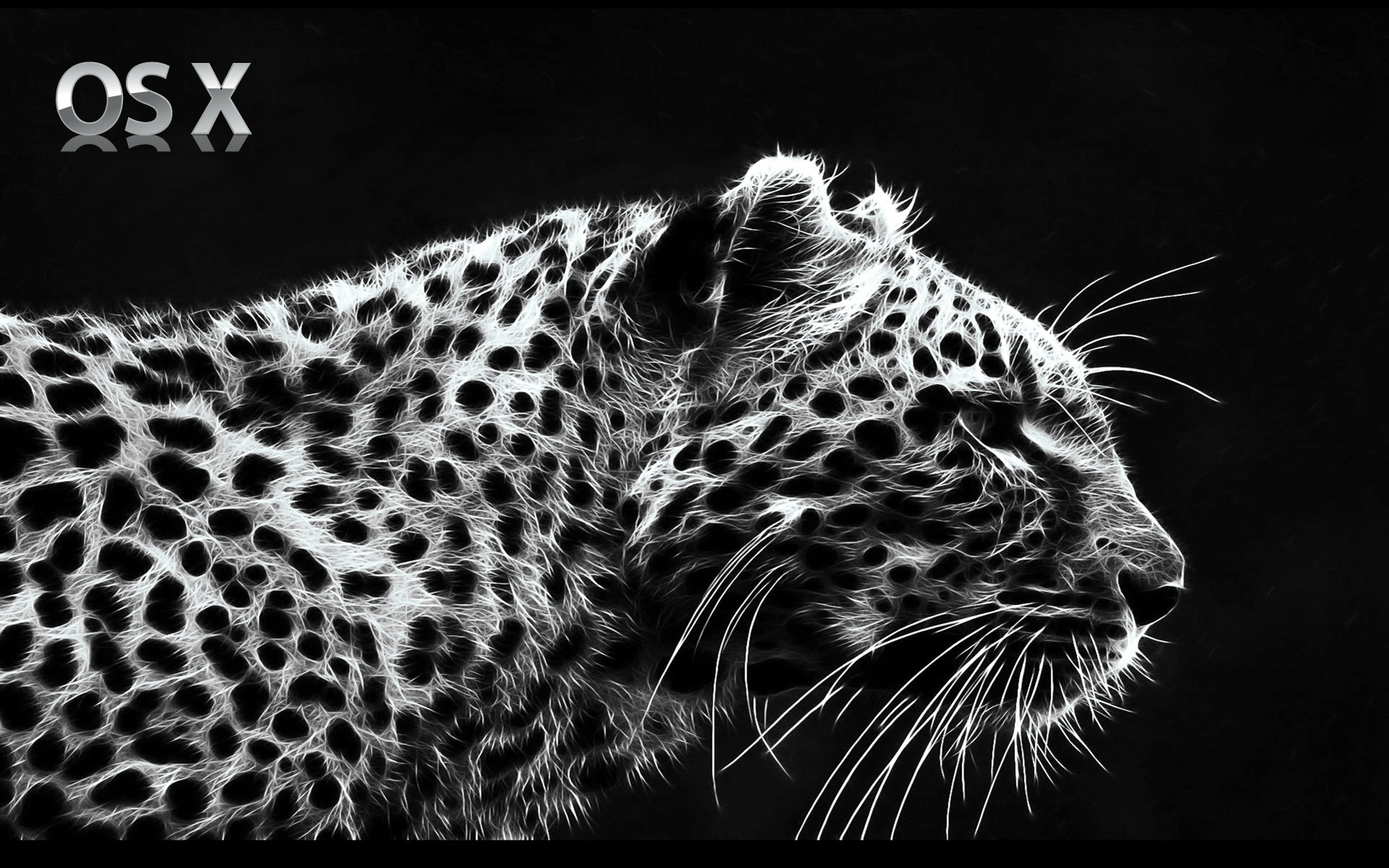 萌宠,狮子,2012Y十月27D,儿童桌面专用