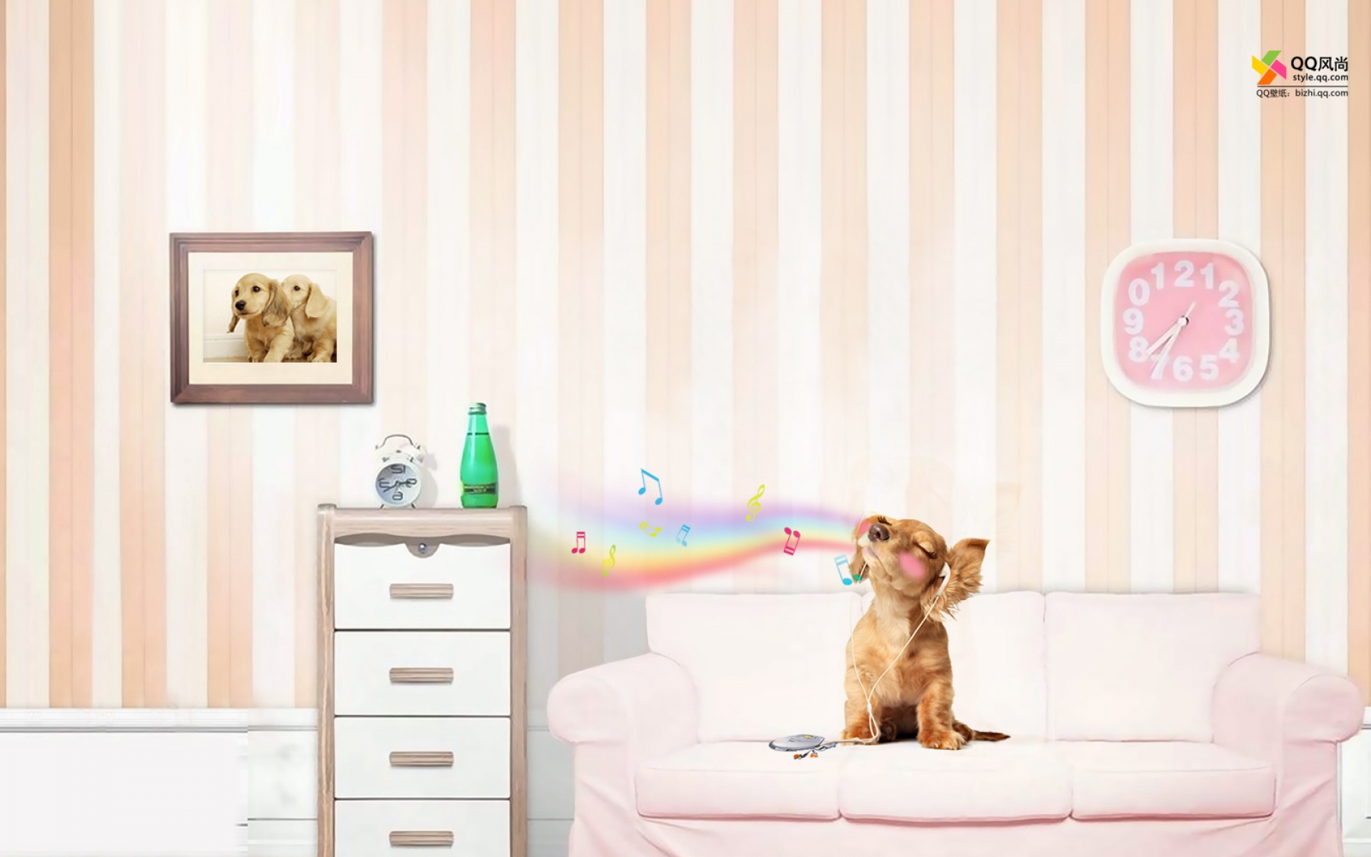 萌宠,汪星人,精美,2012年,宽屏,普屏,2012Y十月27D,儿童桌面专用