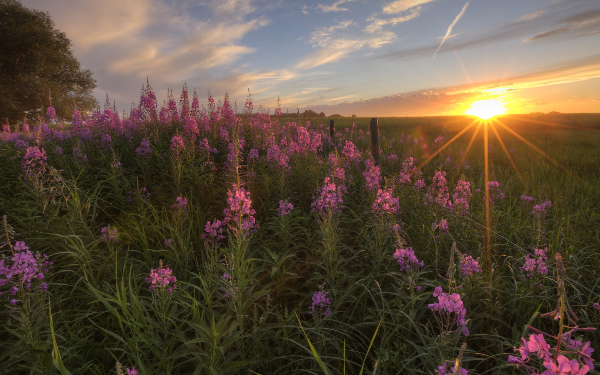 风景,落日余晖,2012Y十月26D,儿童桌面专用