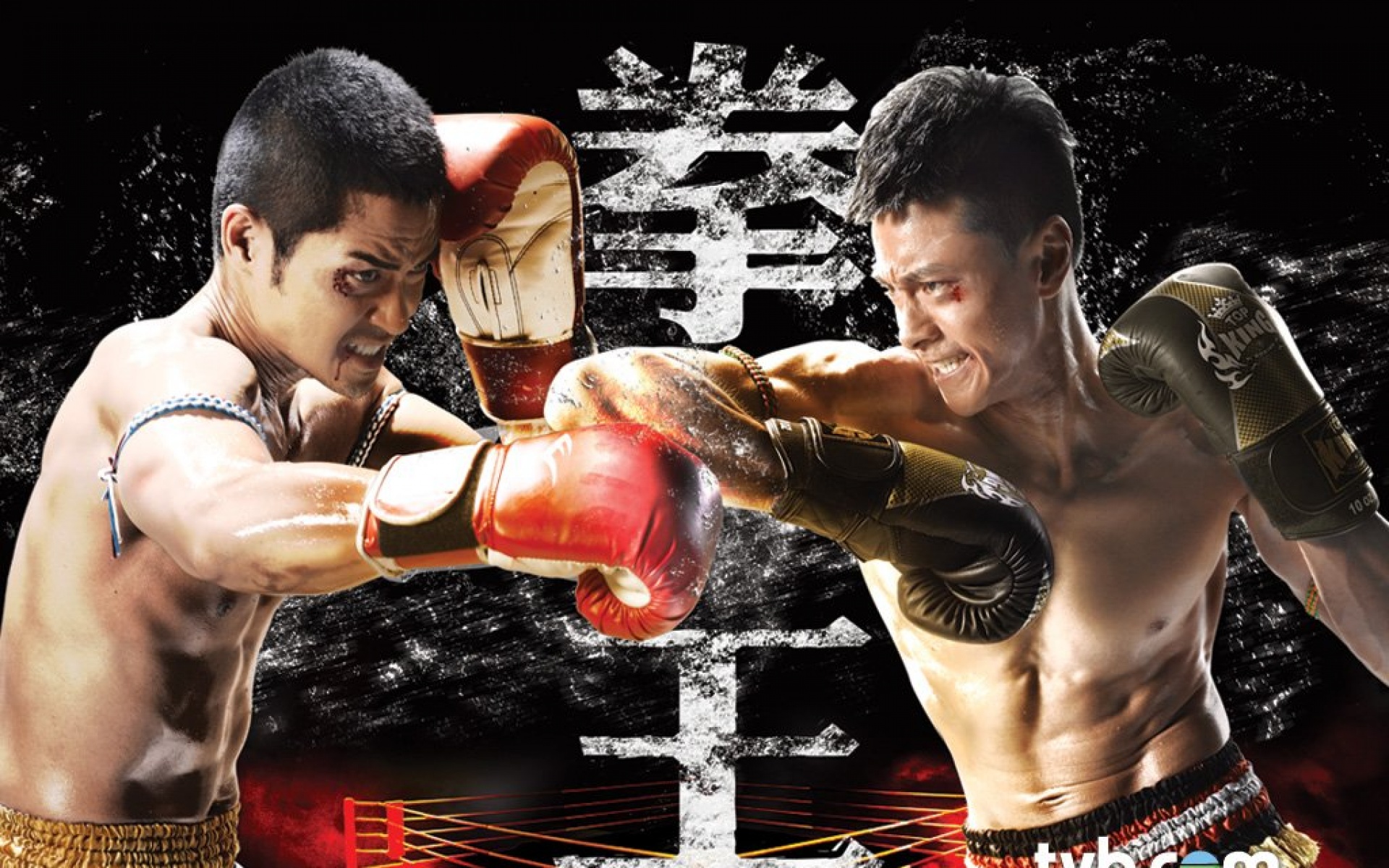 拳王,TVB,影视,电视剧,2012Y十月26D,热门剧集