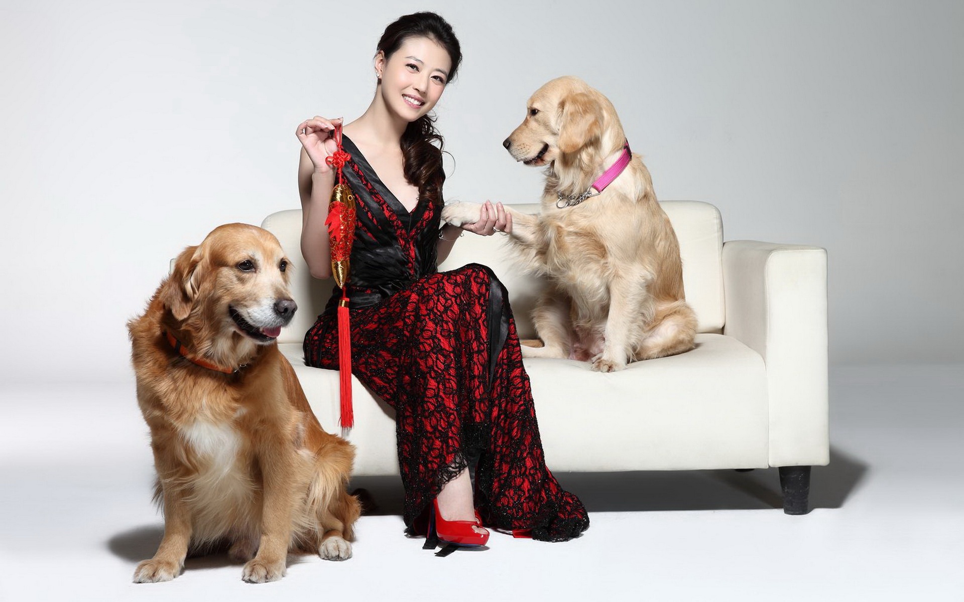 萌宠,汪星人,2012Y十月27D,儿童桌面专用