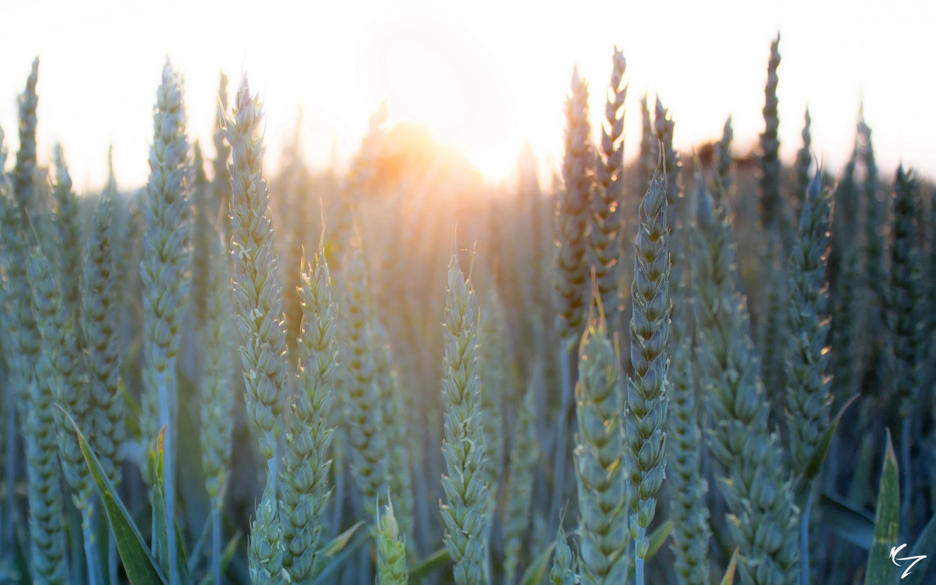 风景,落日余晖,2012Y十月27D,儿童桌面专用