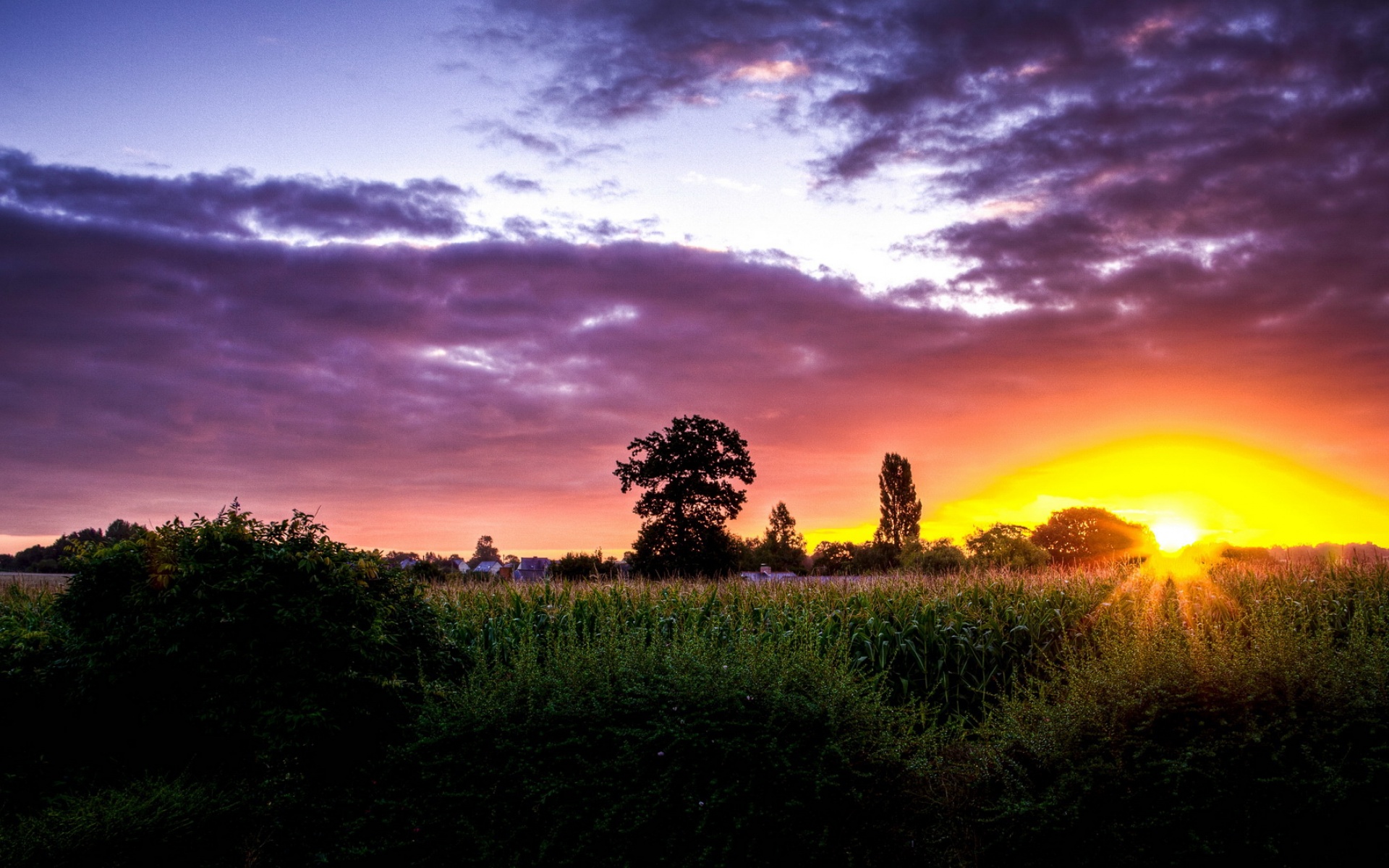 风景,落日余晖,2012Y十月25D,儿童桌面专用