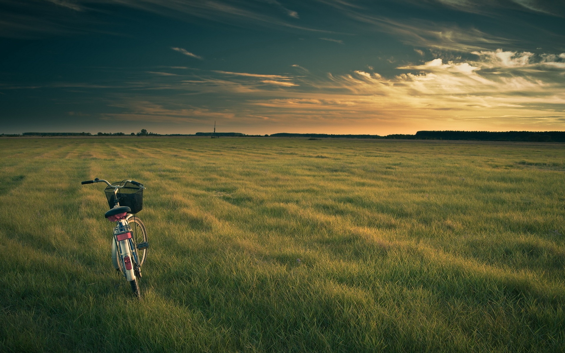小清新,护眼壁纸