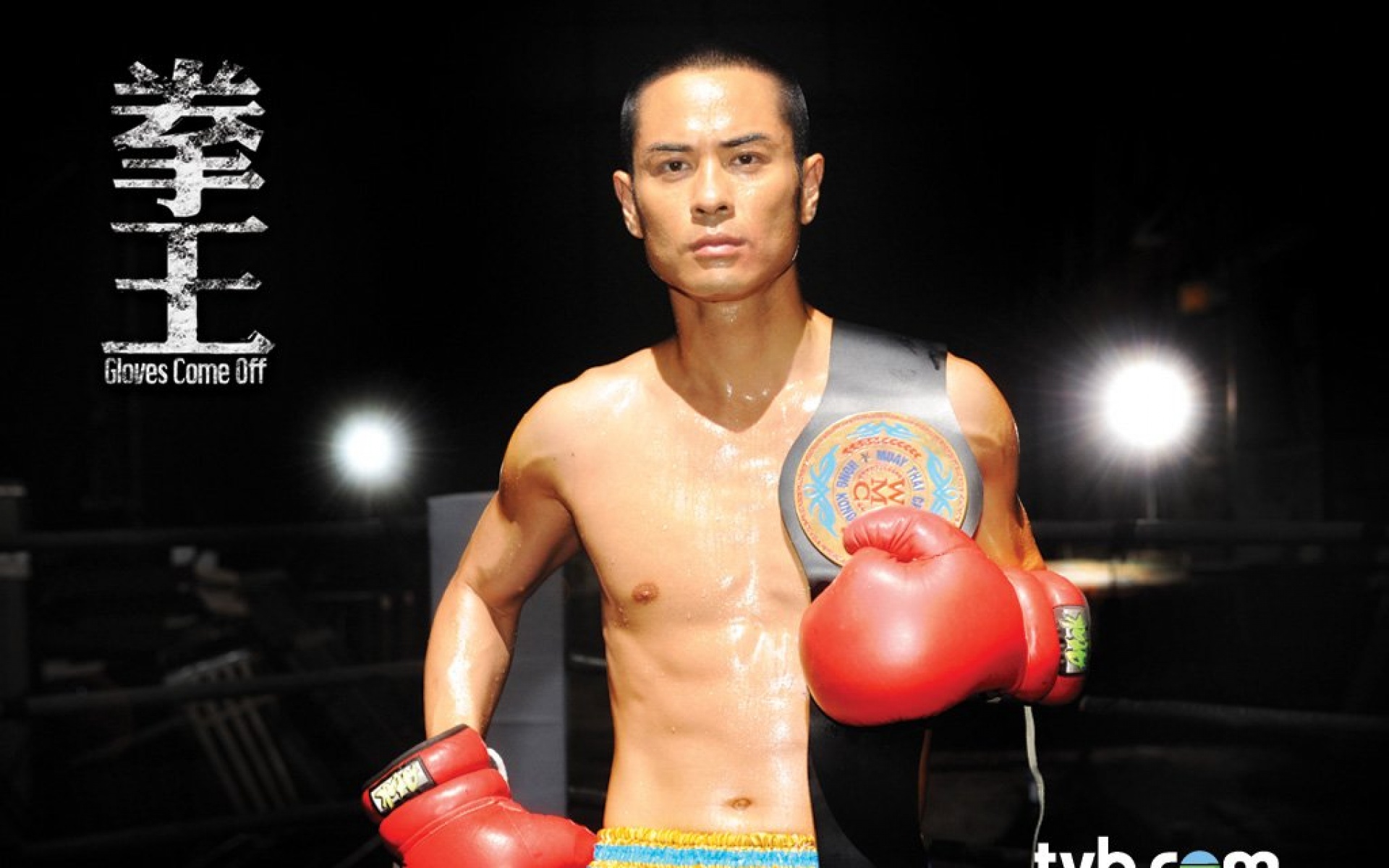 拳王,TVB,影视,电视剧,2012Y十月26D,热门剧集