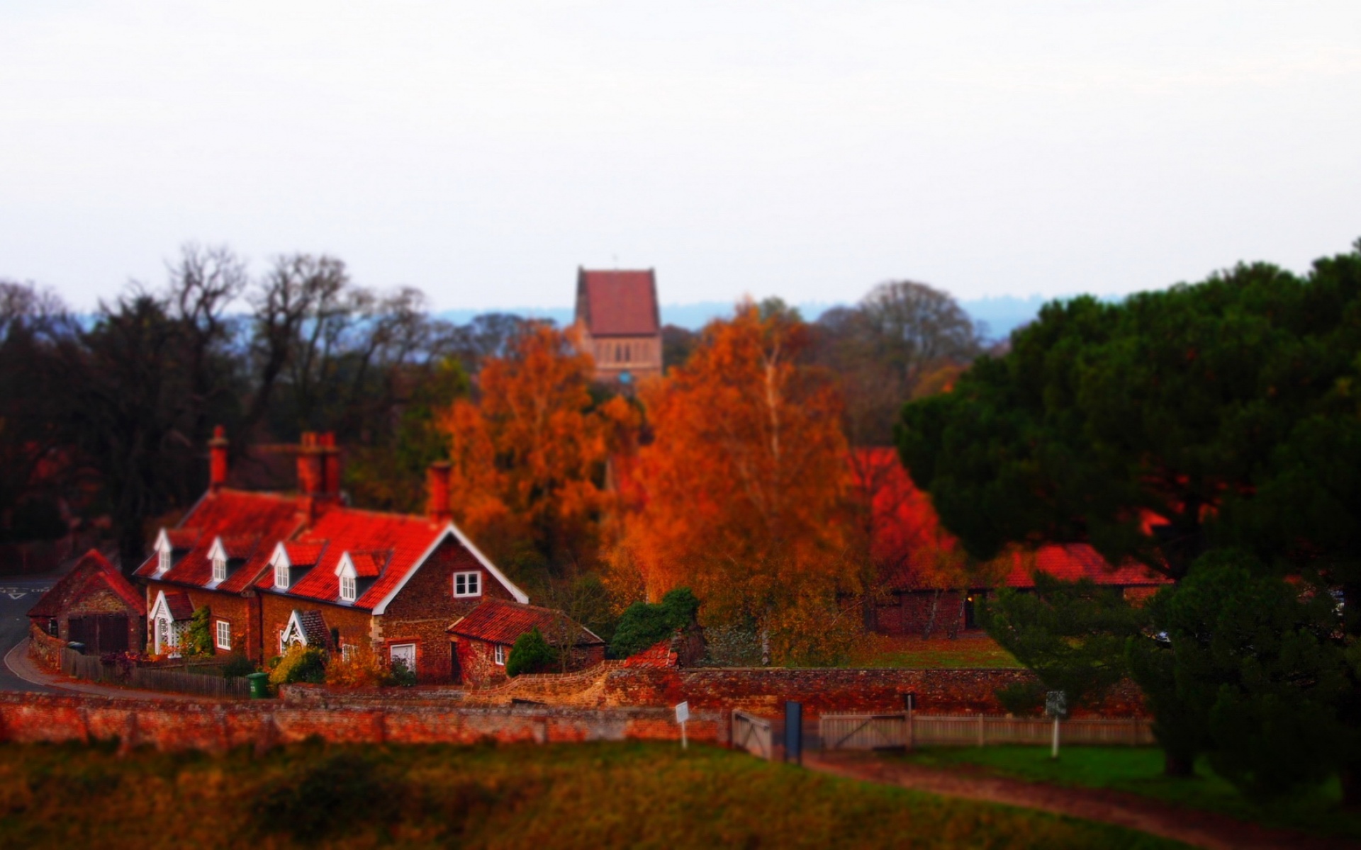 风景,秋意正浓,2012Y十月27D,儿童桌面专用