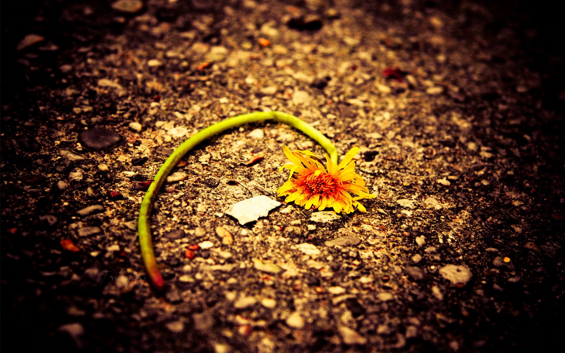 冷色,摄影,宽屏,电脑,设计,2012Y十月29D,儿童桌面专用