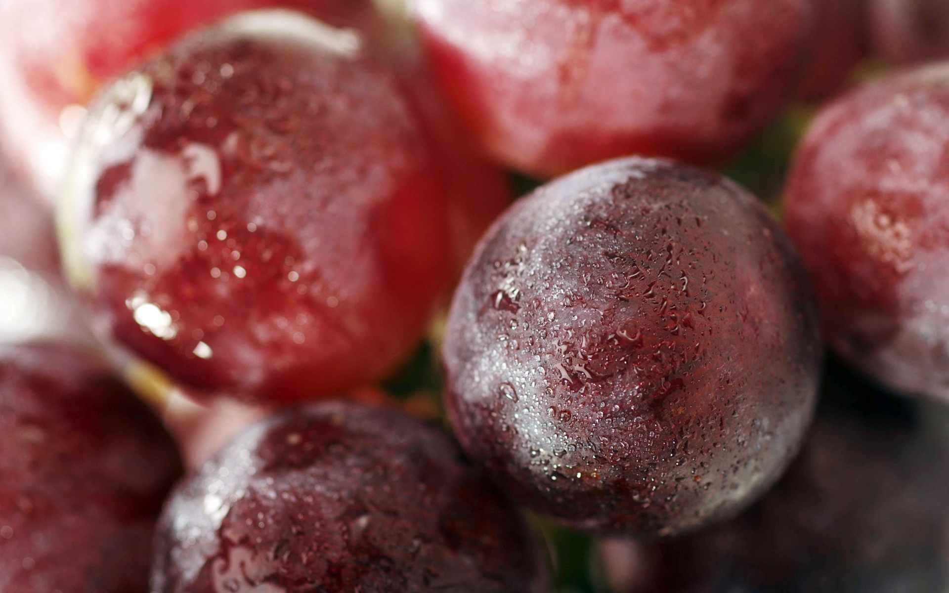 小清新,动感水果,儿童桌面专用