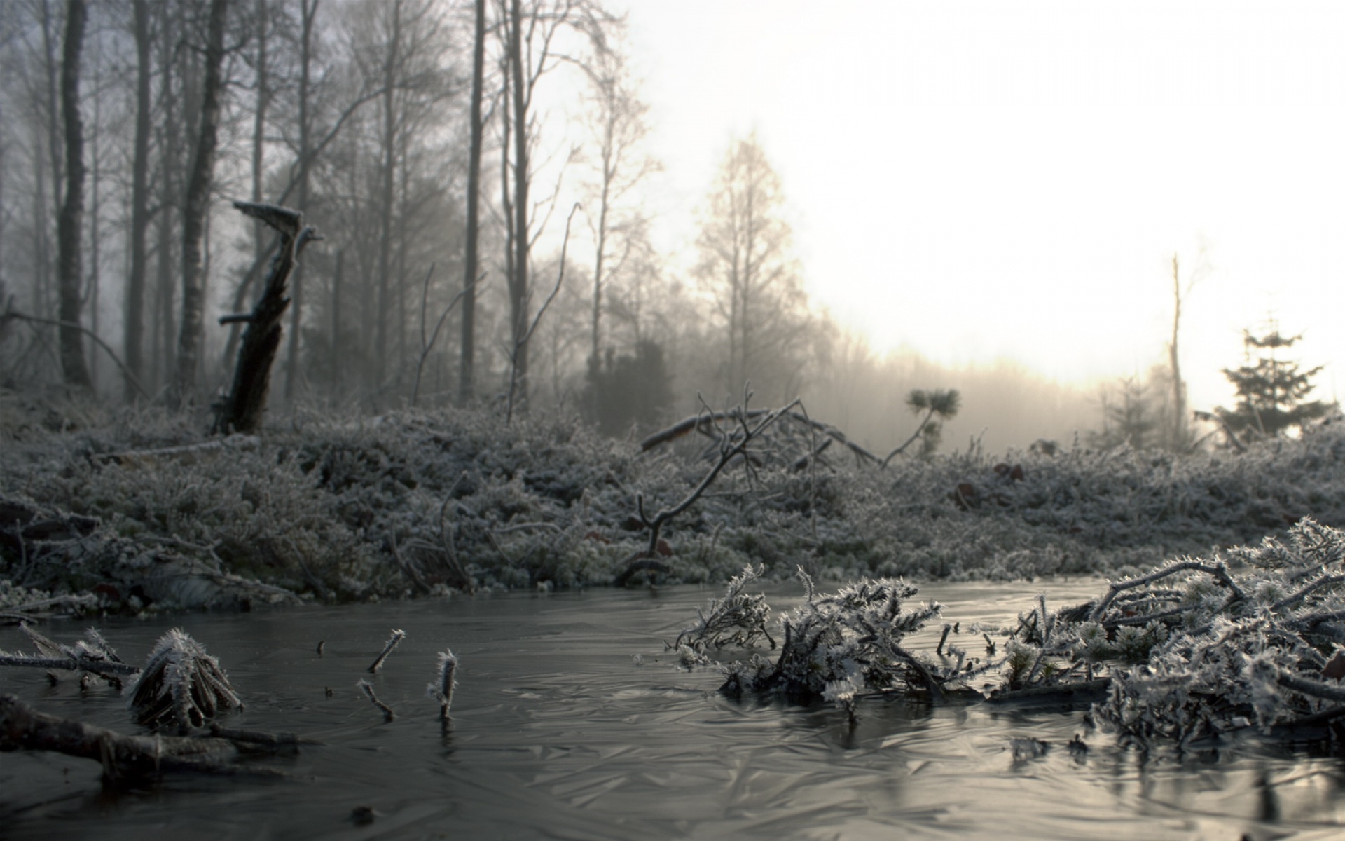 风景,冰天雪地,2012Y十月27D,儿童桌面专用