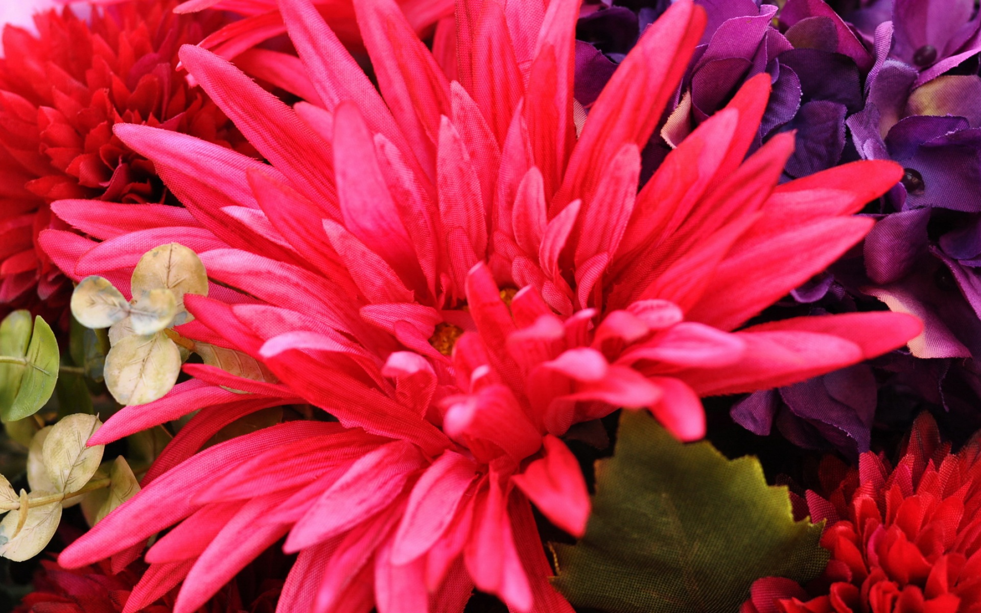 小清新,娇艳欲滴,2012Y十月26D,儿童桌面专用