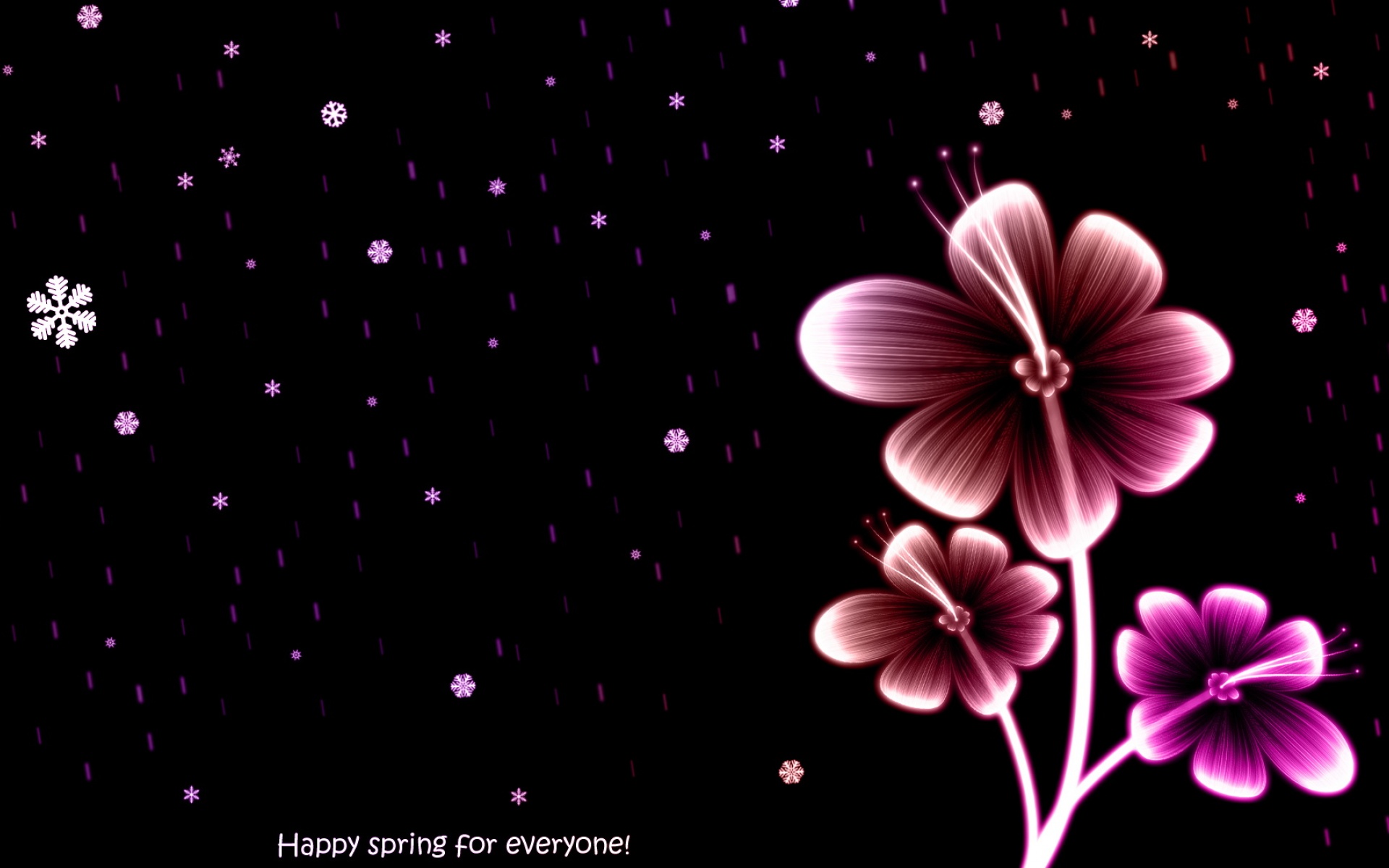 清新,花卉,浪漫,美丽2012Y十月28D