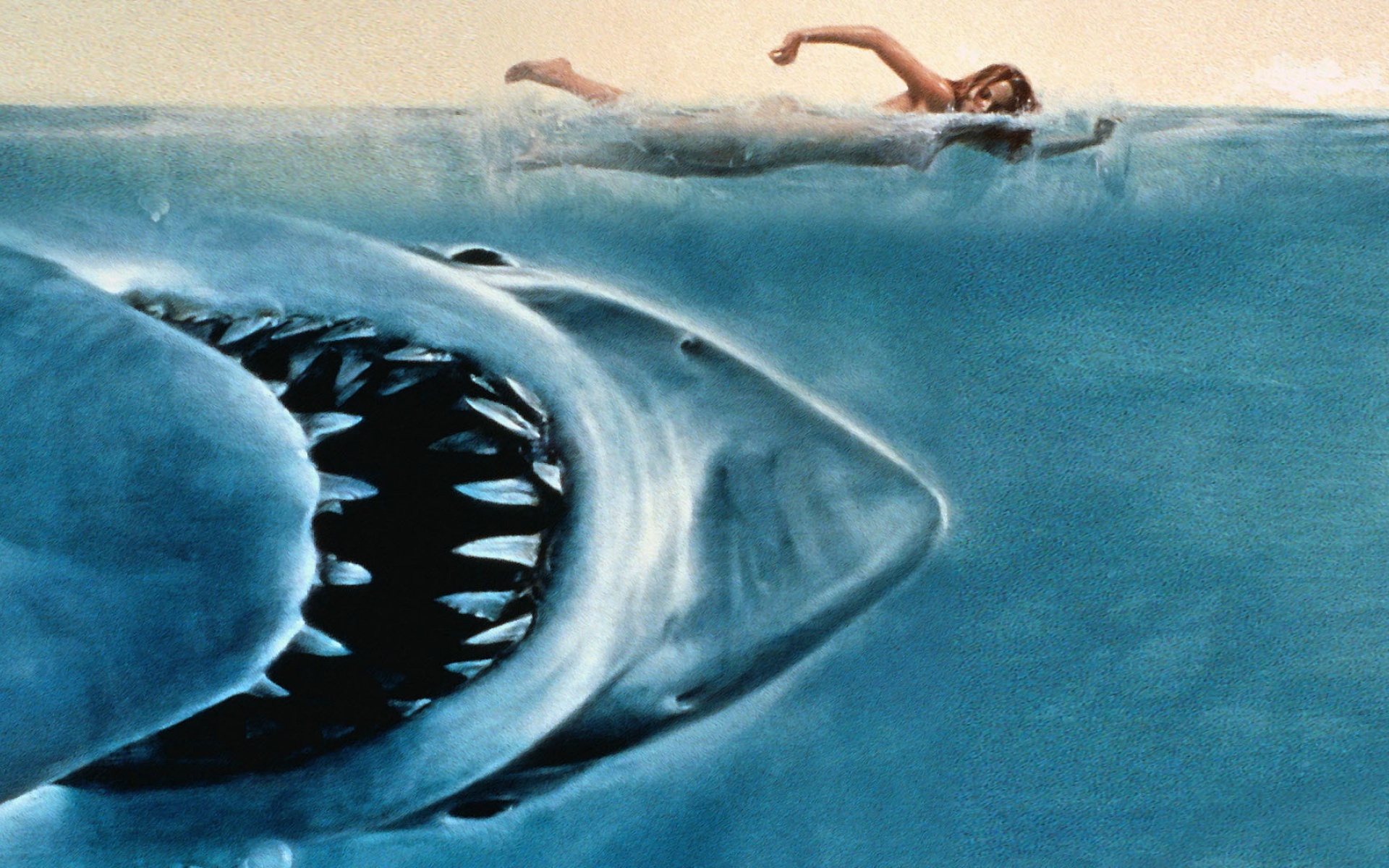 萌宠,鱼,海底世界,儿童桌面专用