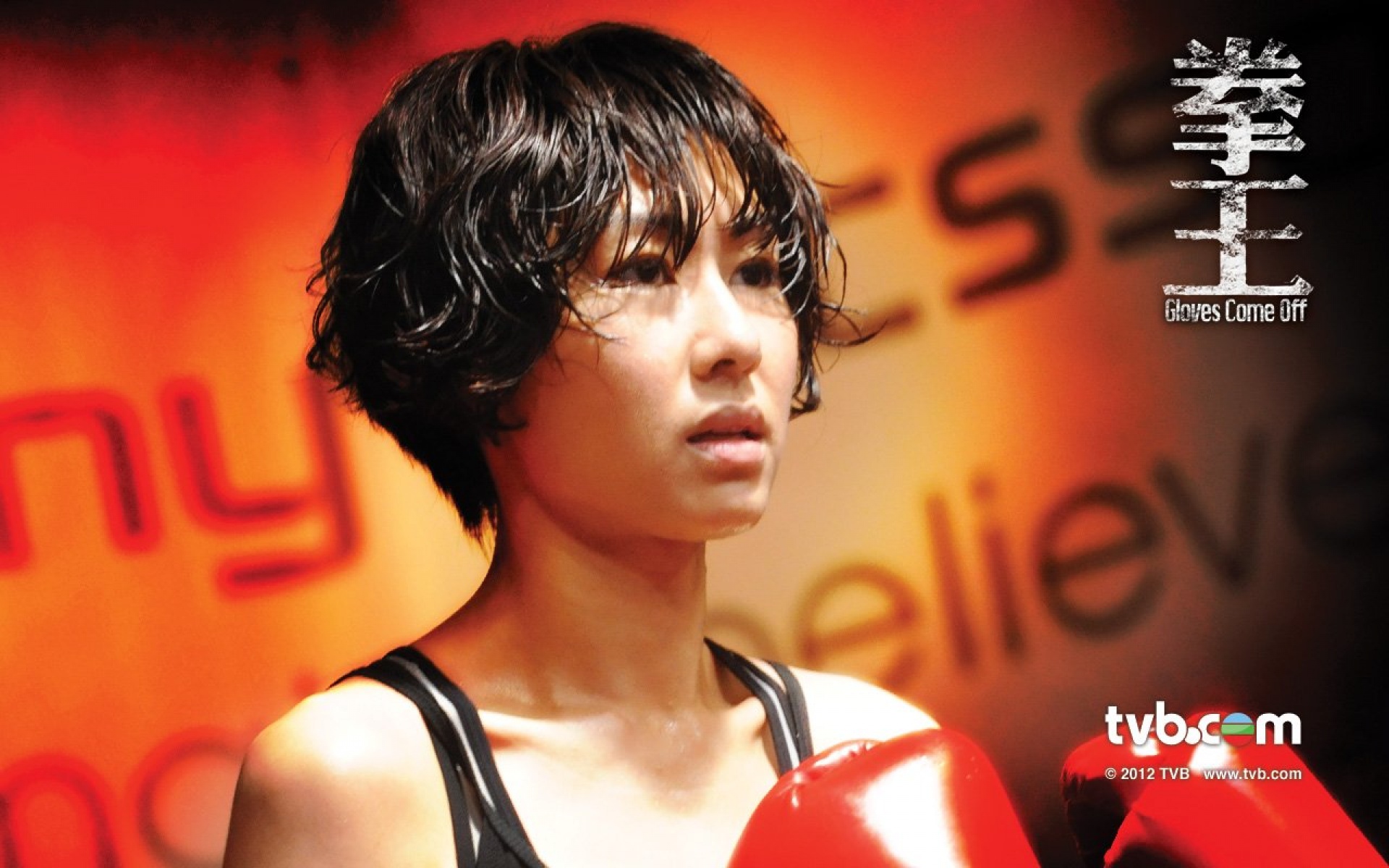 拳王,TVB,影视,电视剧,2012Y十月26D