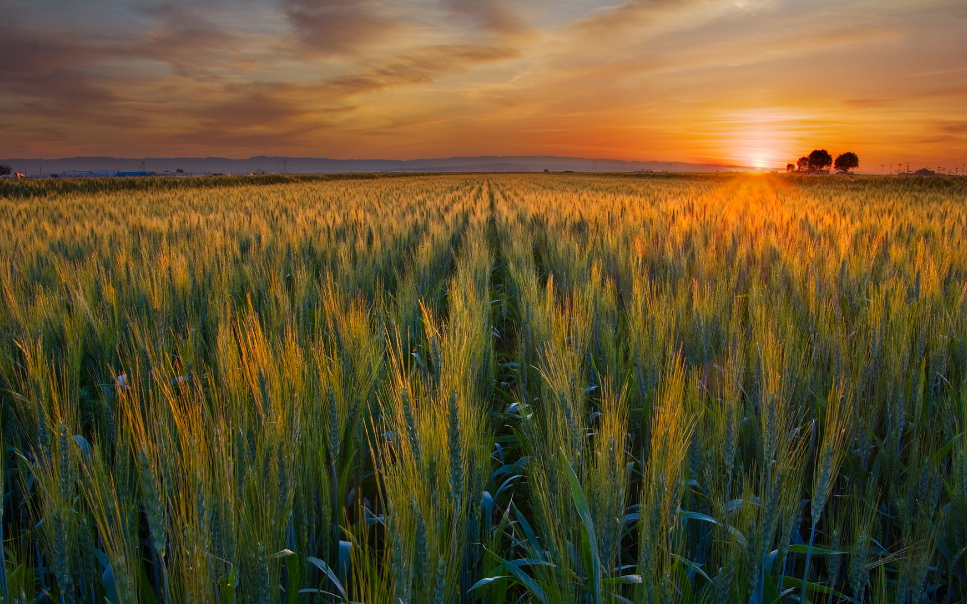 风景,落日余晖,2012Y十月27D,儿童桌面专用