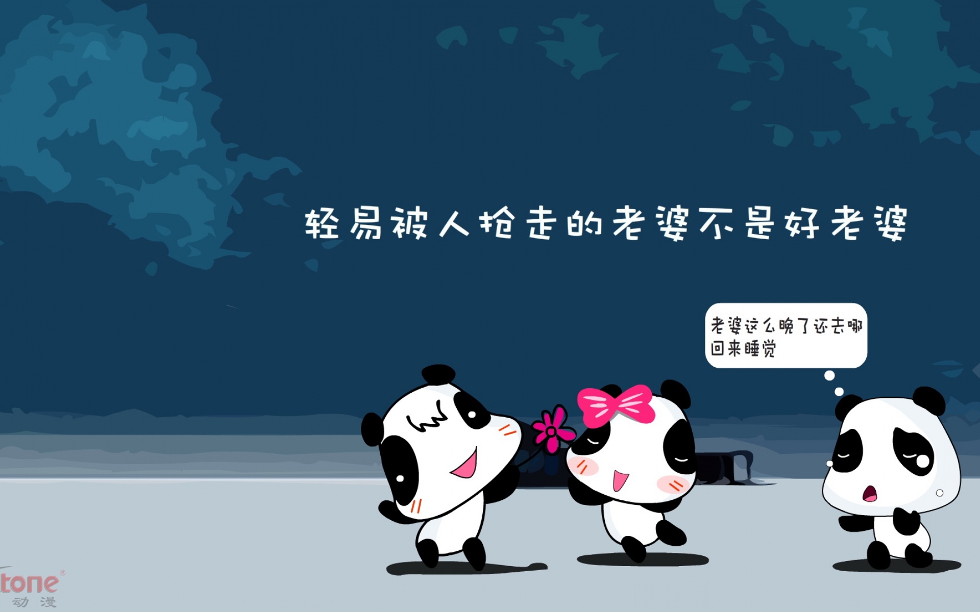 熊猫娃娃,可爱,2012Y十月27D,儿童桌面专用