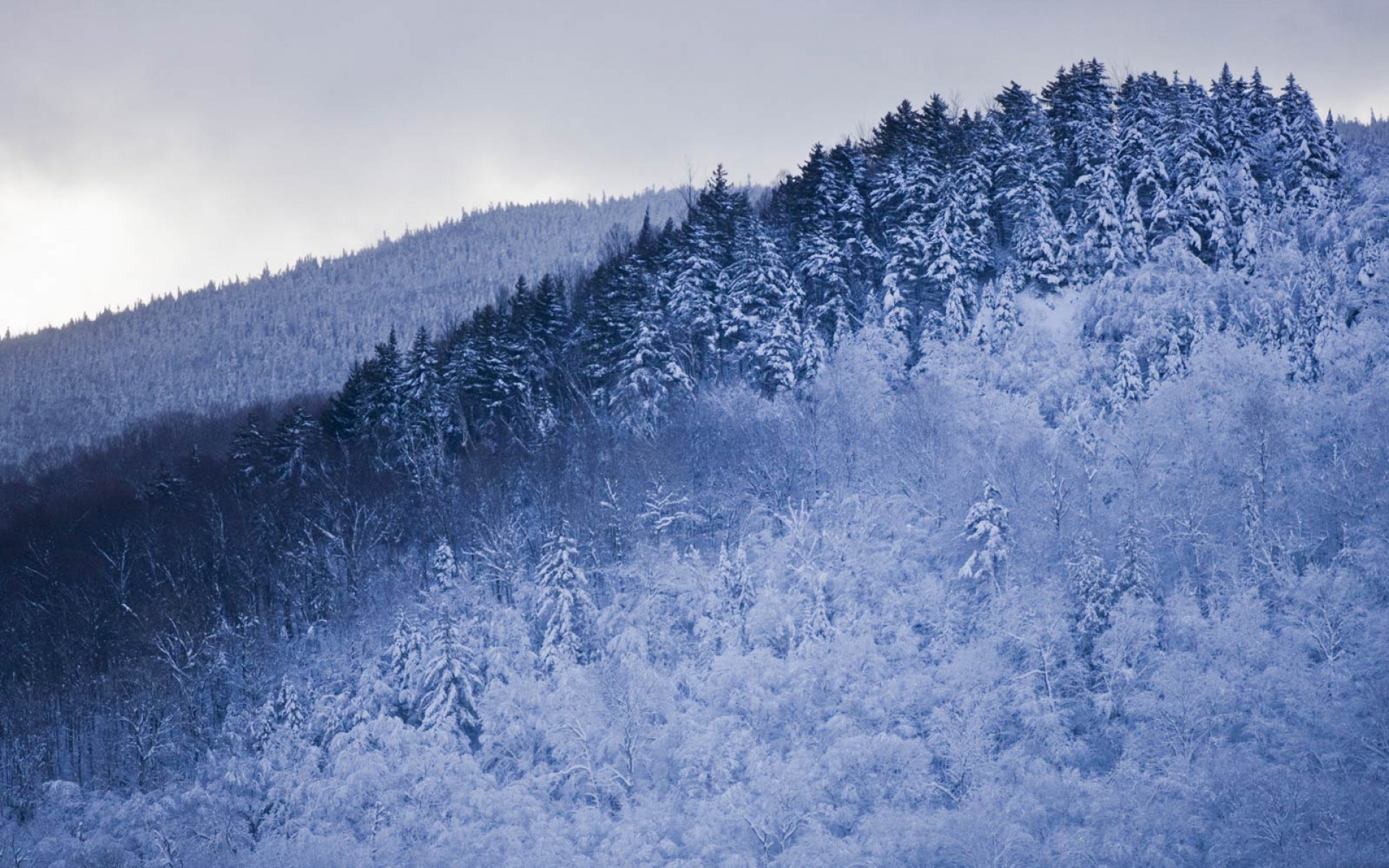 风景,冰天雪地,2012Y十月28D,儿童桌面专用