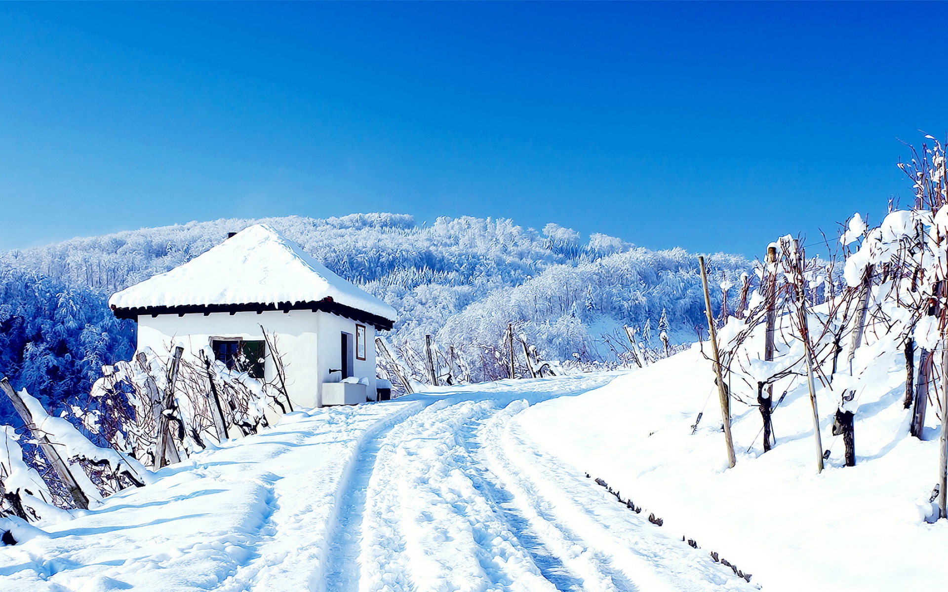 风景,冰天雪地,2012Y十月28D,儿童桌面专用