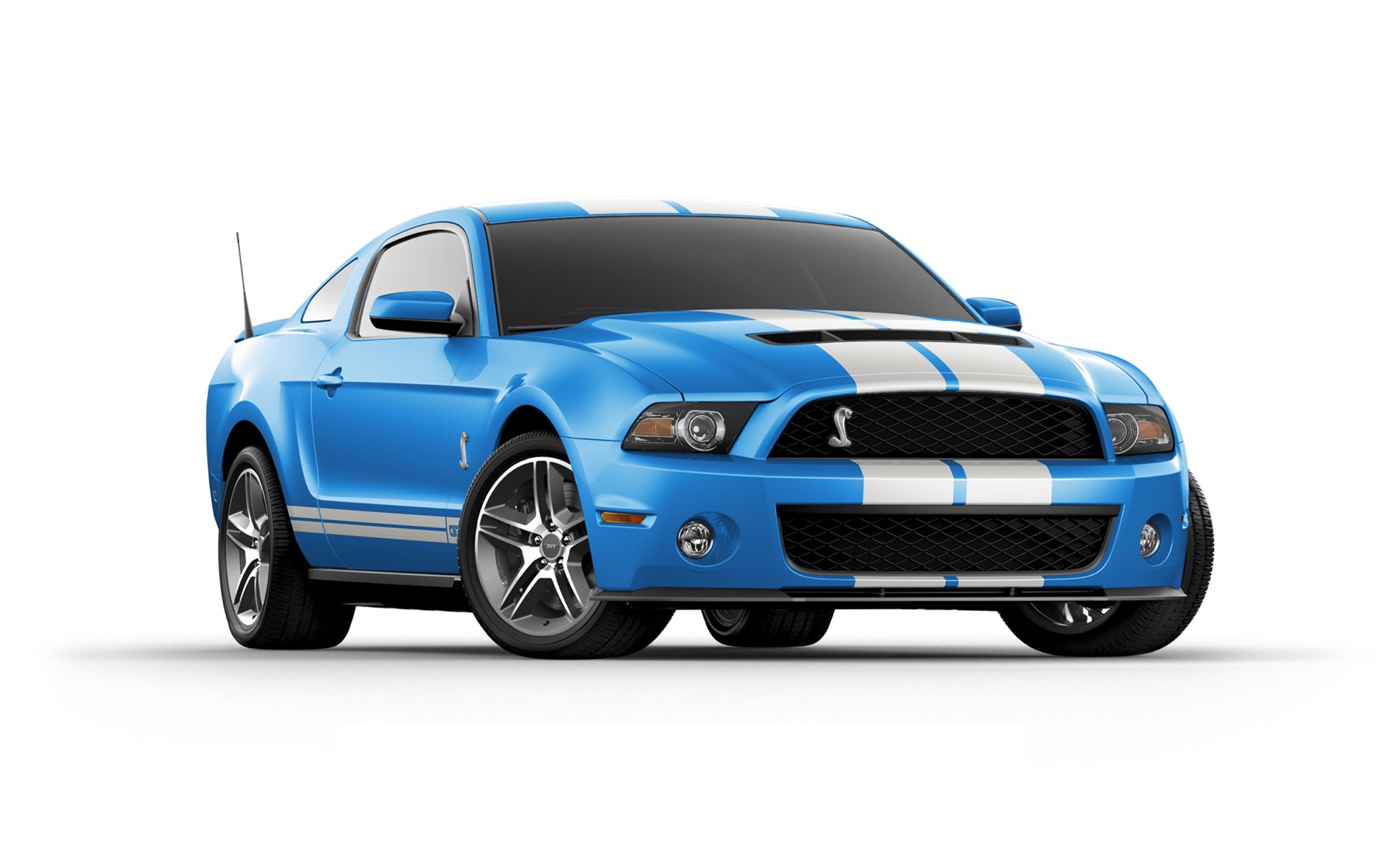 Ford,Shelby,GT500,福特,眼镜蛇,宽屏,汽车,2012Y十月29D,儿童桌面专用