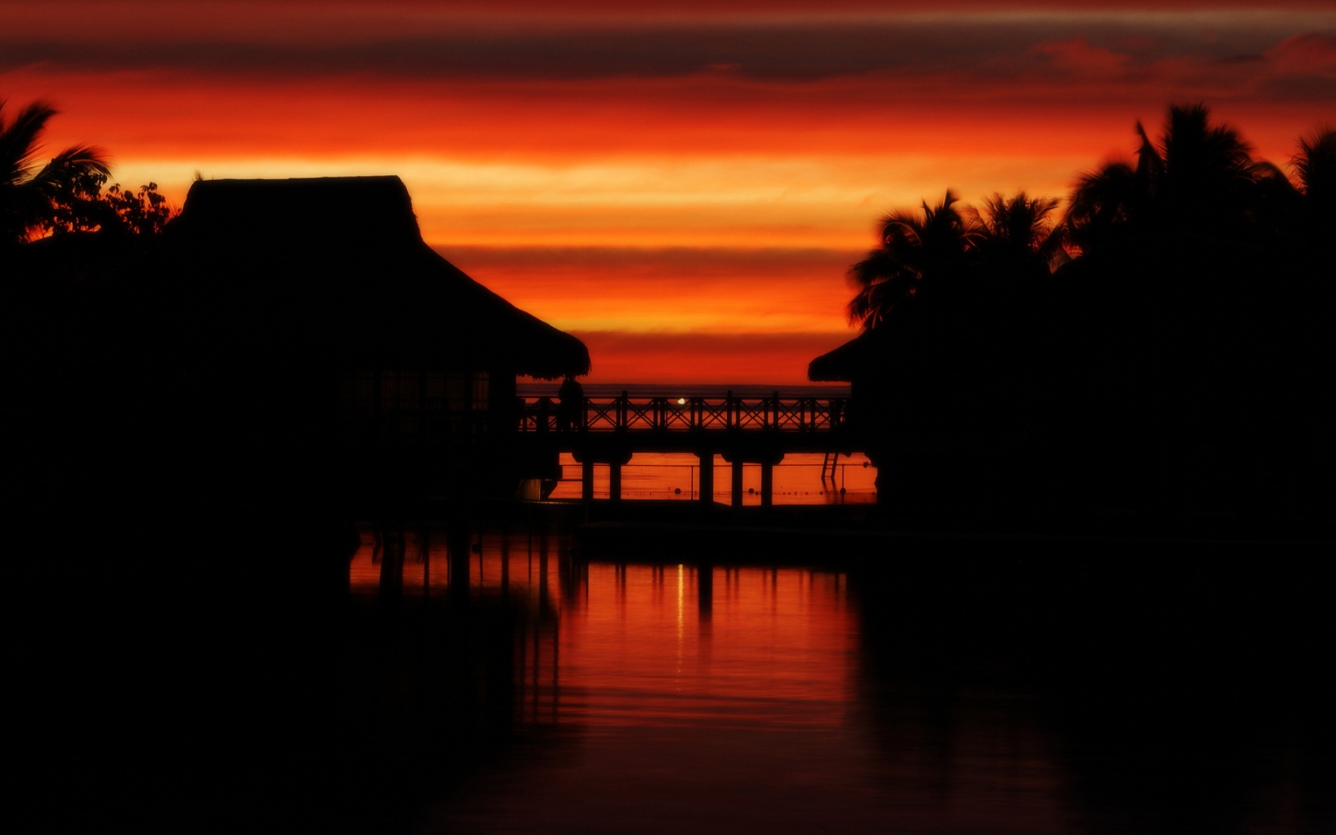 风景,城市夜景,2012Y十月27D,儿童桌面专用