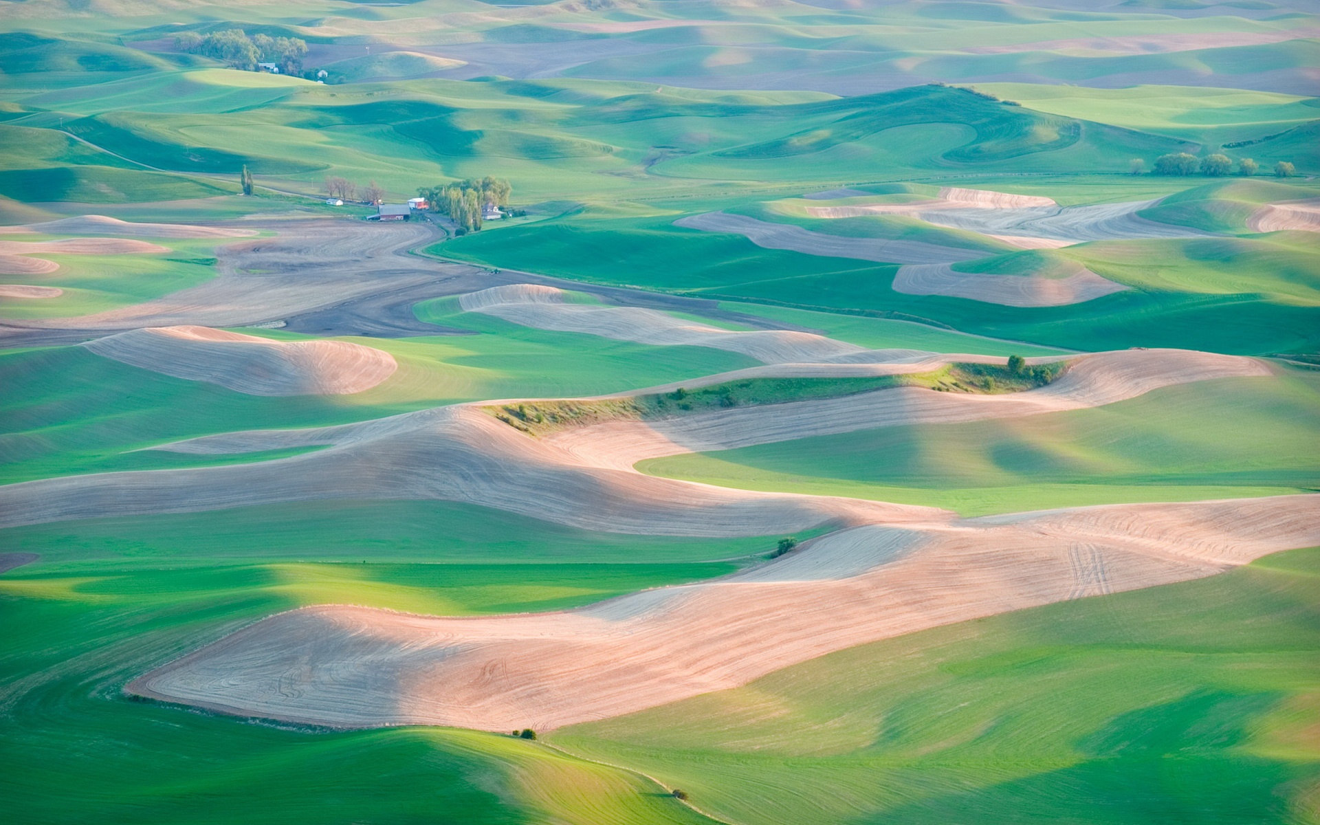 Chrome,OS,宽屏,风光,风景,动物,植物,2012Y十月28D,儿童桌面专用