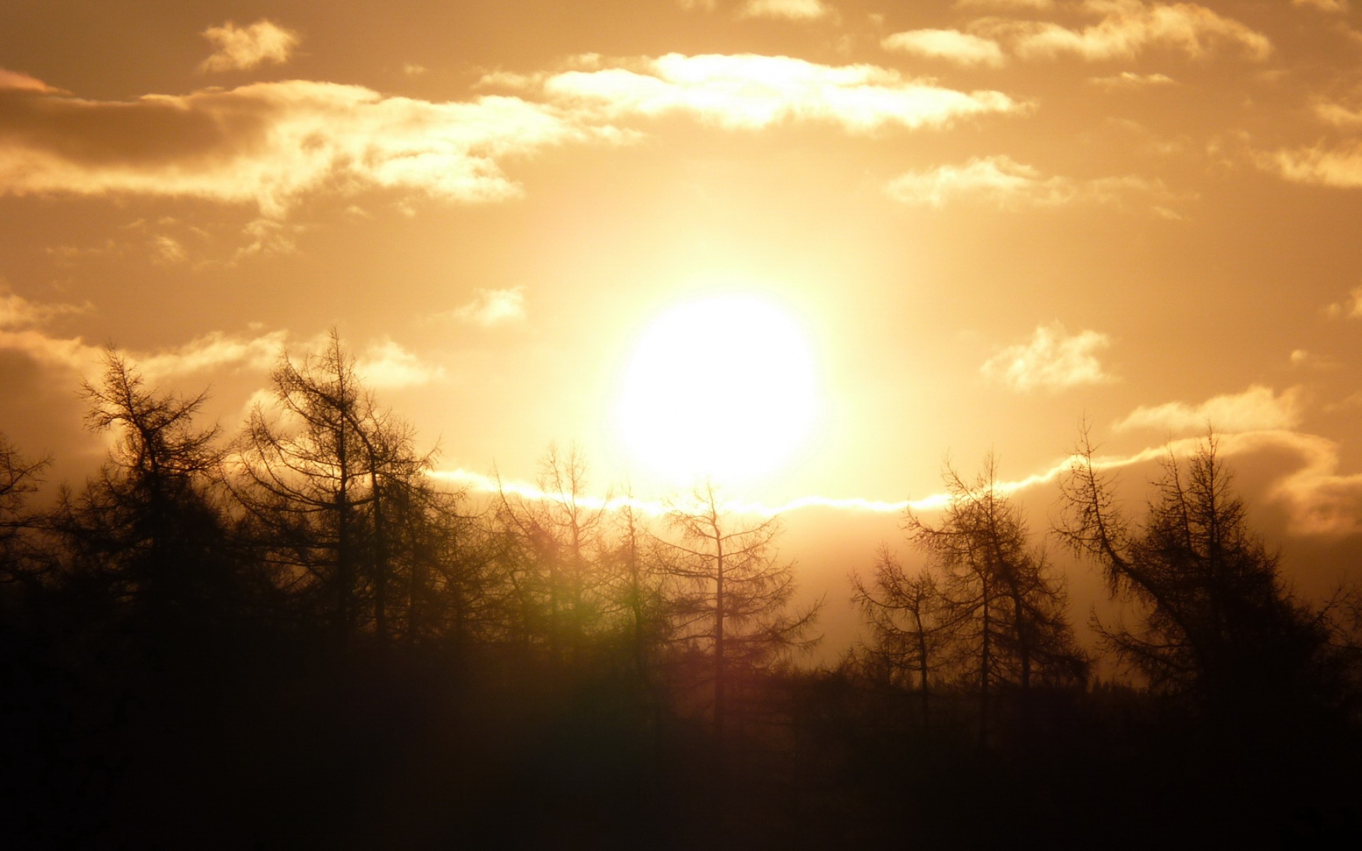 风景,落日余晖,2012Y十月26D,儿童桌面专用