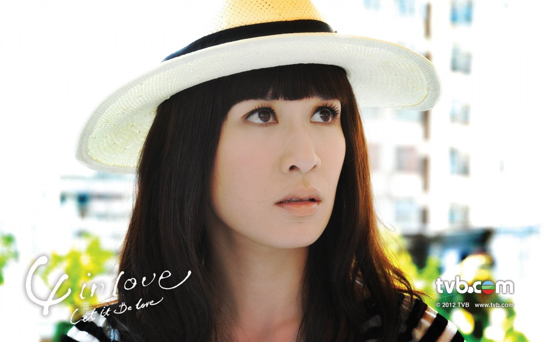 4,In,Love,影视,电视剧,TVB,2012Y十月26D,热门剧集