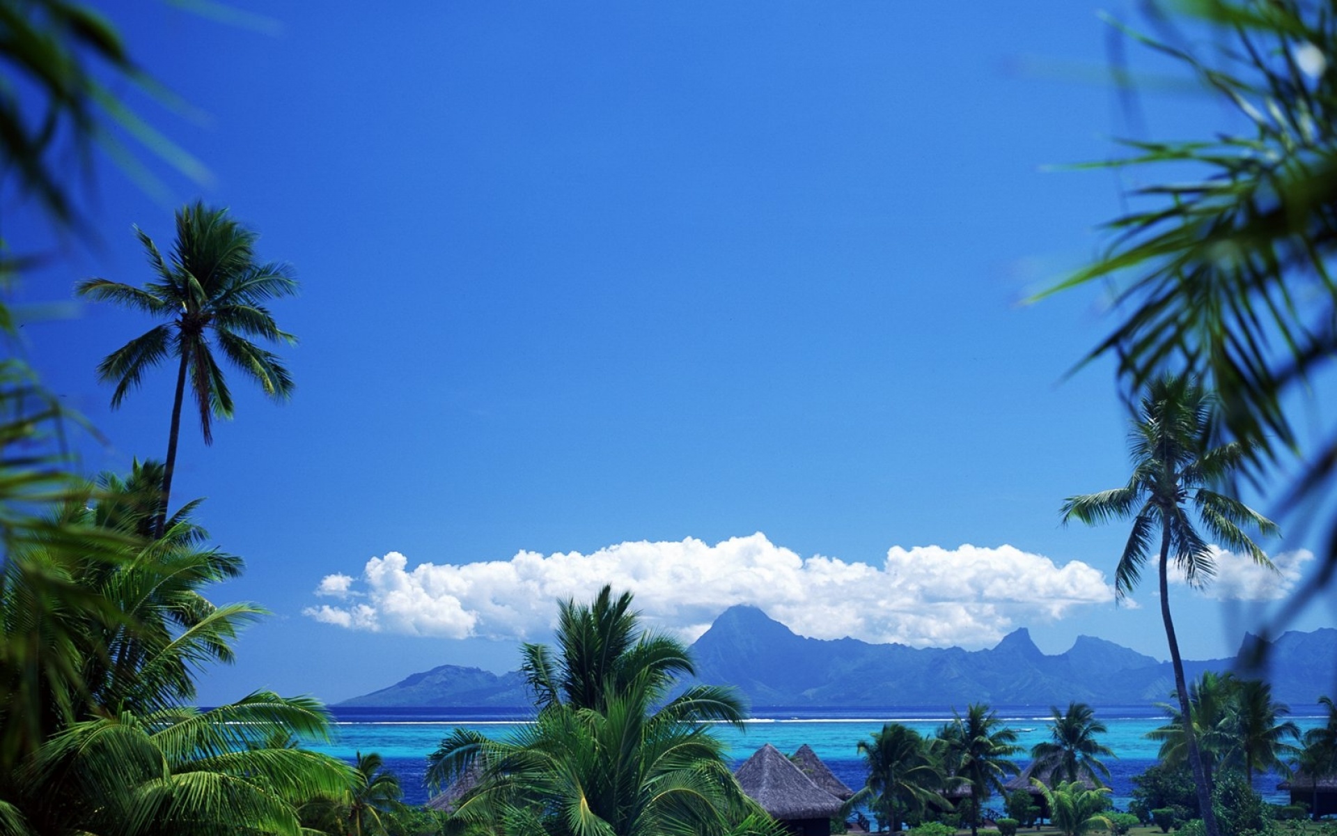 风景,海洋天堂,2012Y十一月04D,儿童桌面专用