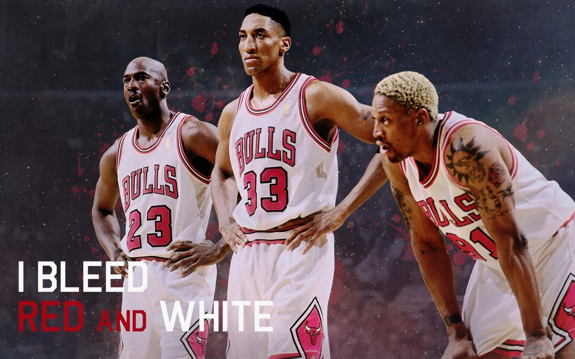 体育,篮球,NBA,公牛,2012Y十月27D