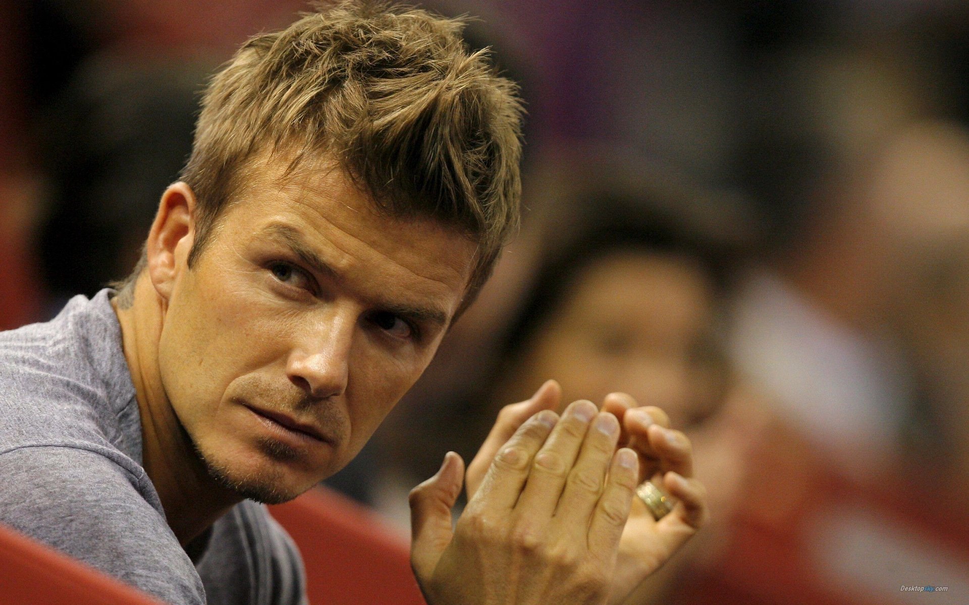 体育,贝克汉姆,十一月二十七日精选