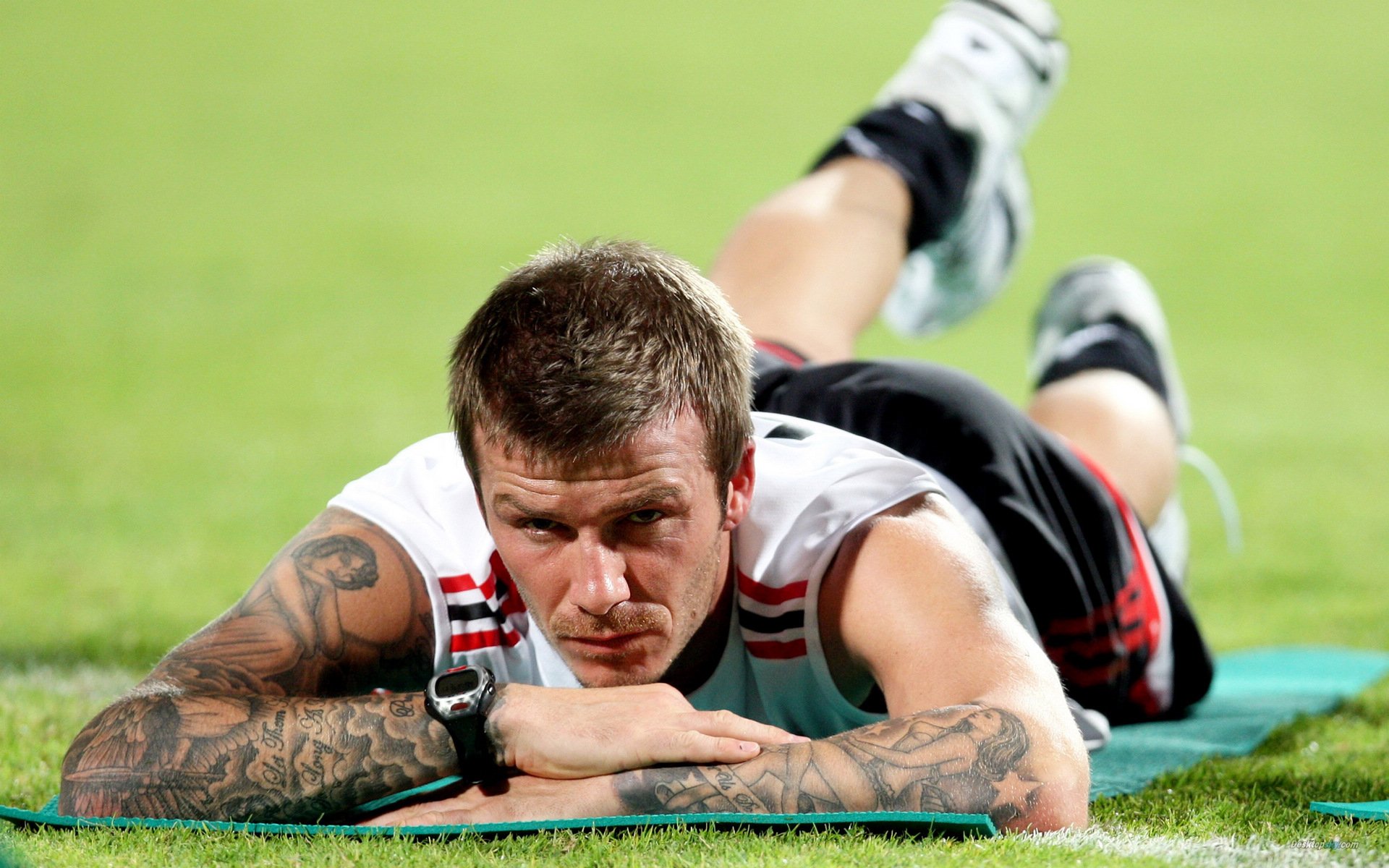 体育,贝克汉姆,十一月二十七日精选