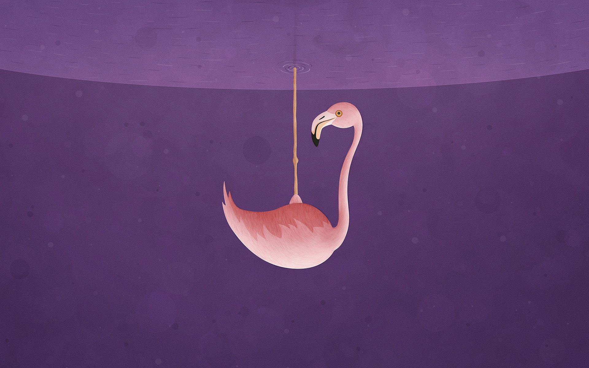 炫酷,趣味,插画,小鸟,十一月二十九日精选,儿童桌面专用