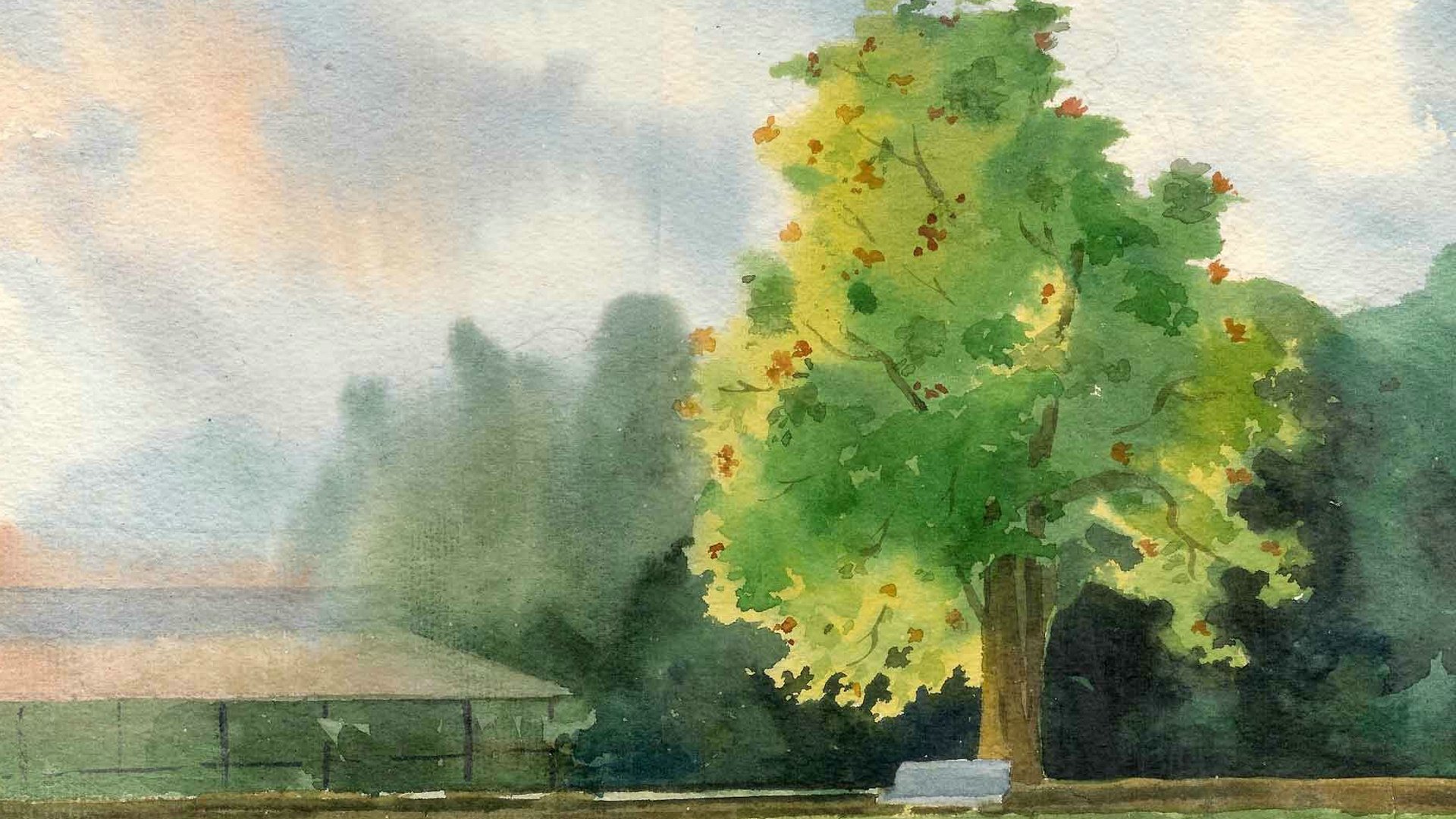 小清新,护眼壁纸,十一月二十八日精选,儿童桌面专用