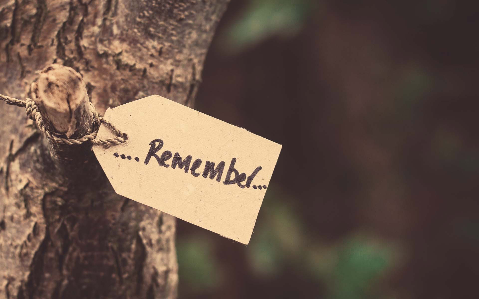 游戏,英雄联盟,LOL,十一月十五日精选