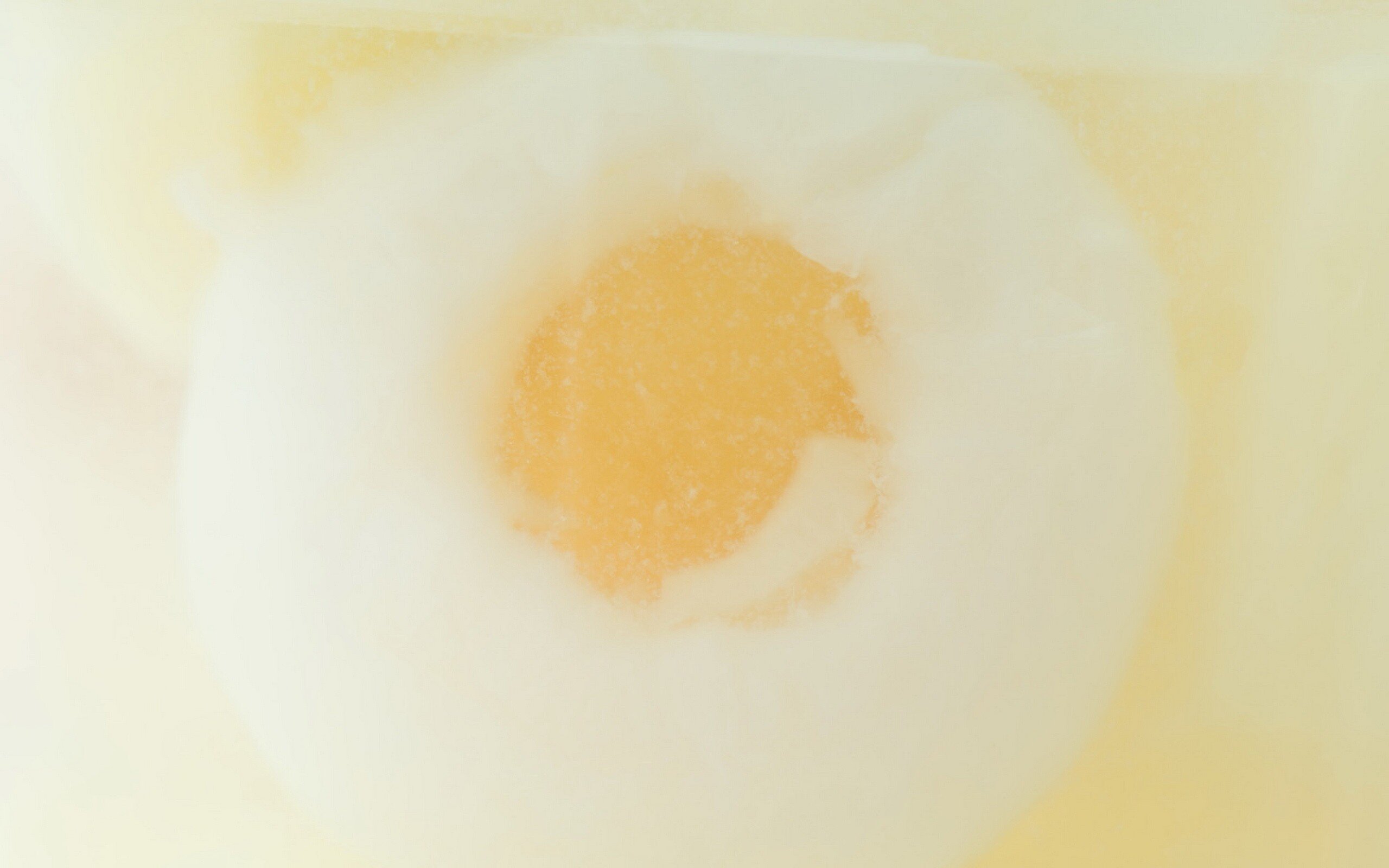 静物,高清,简约,儿童桌面专用