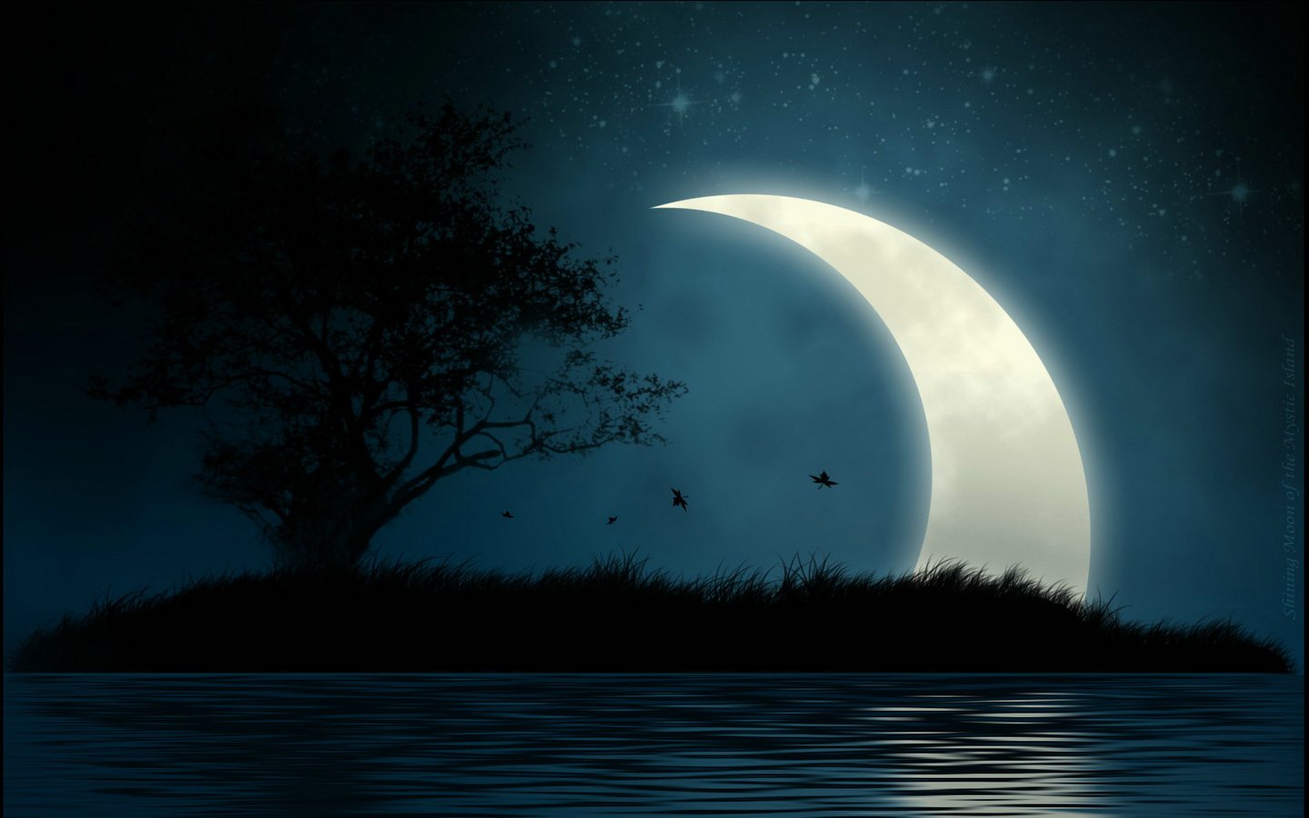 风景,落日余晖,十一月二十九日精选,儿童桌面专用