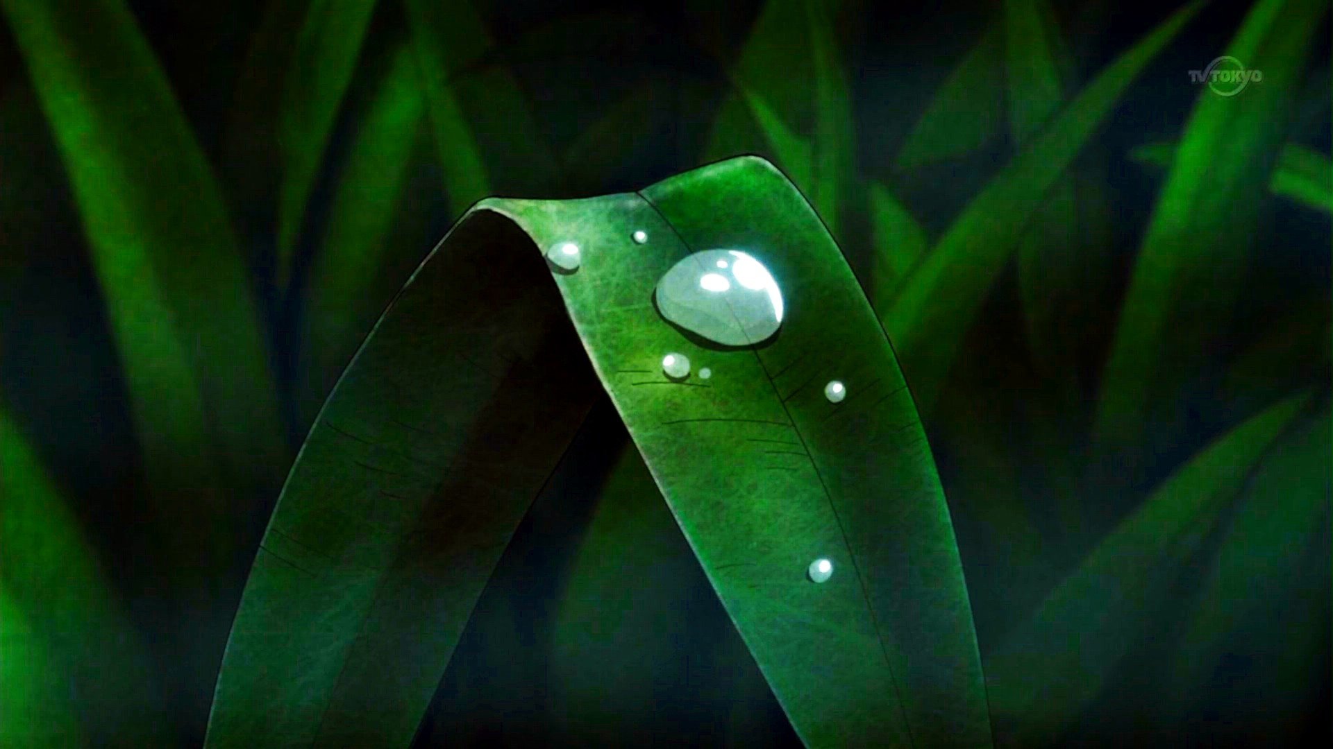 小清新,护眼壁纸,十一月二十八日精选,儿童桌面专用